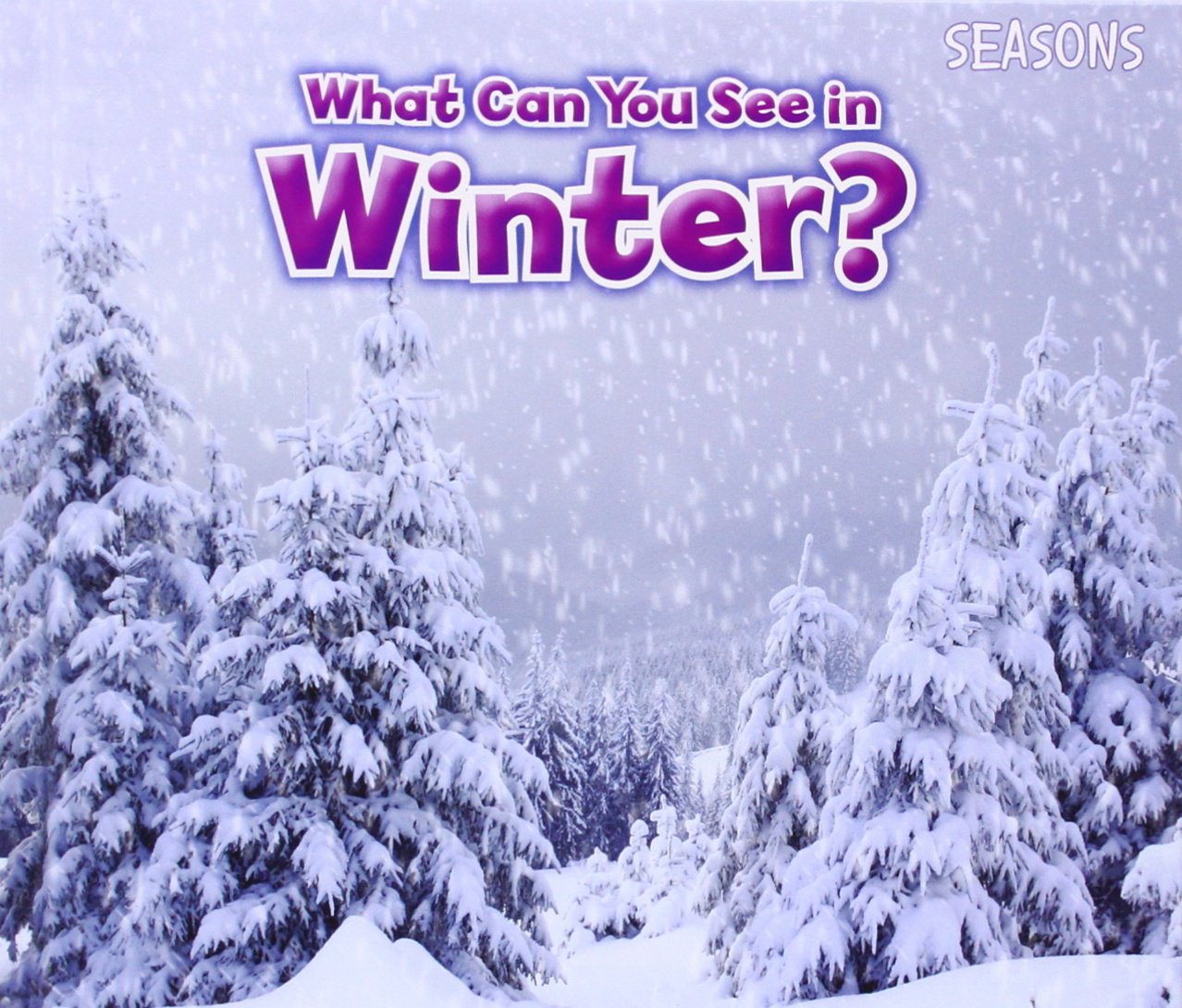 What Can You See In Winter? (Seasons) Non-fiction