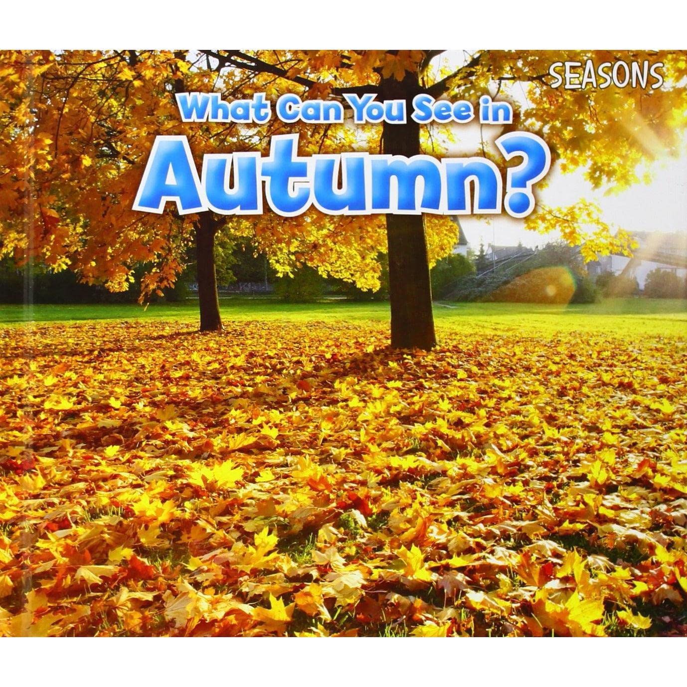 What Can You See In Autumn? (Seasons) Non-fiction