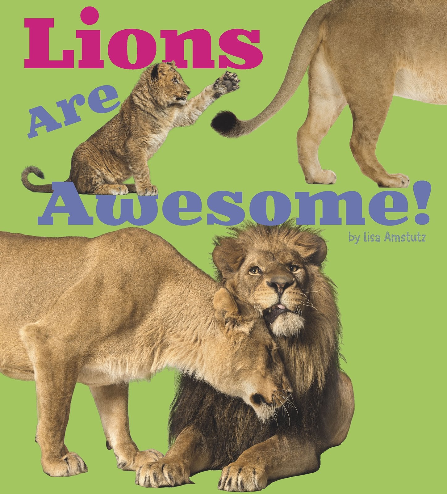Lions Are Awesome! (Awesome African Animals!) Non-fiction