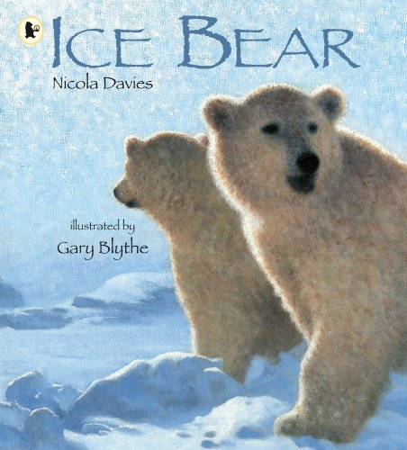 Ice Bear (Nature Storybooks) Non-fiction