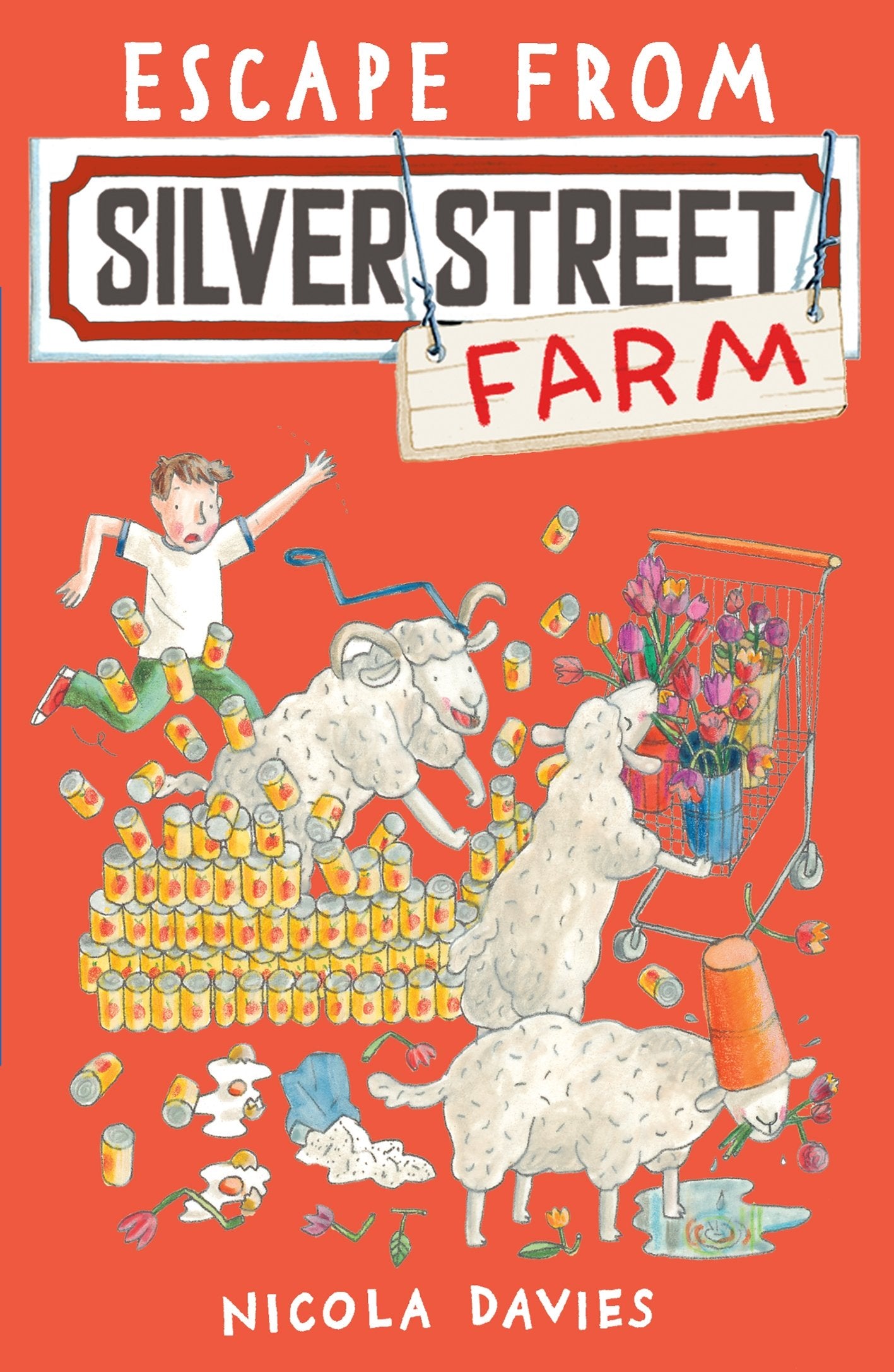 Escape from Silver Street Farm Non-fiction