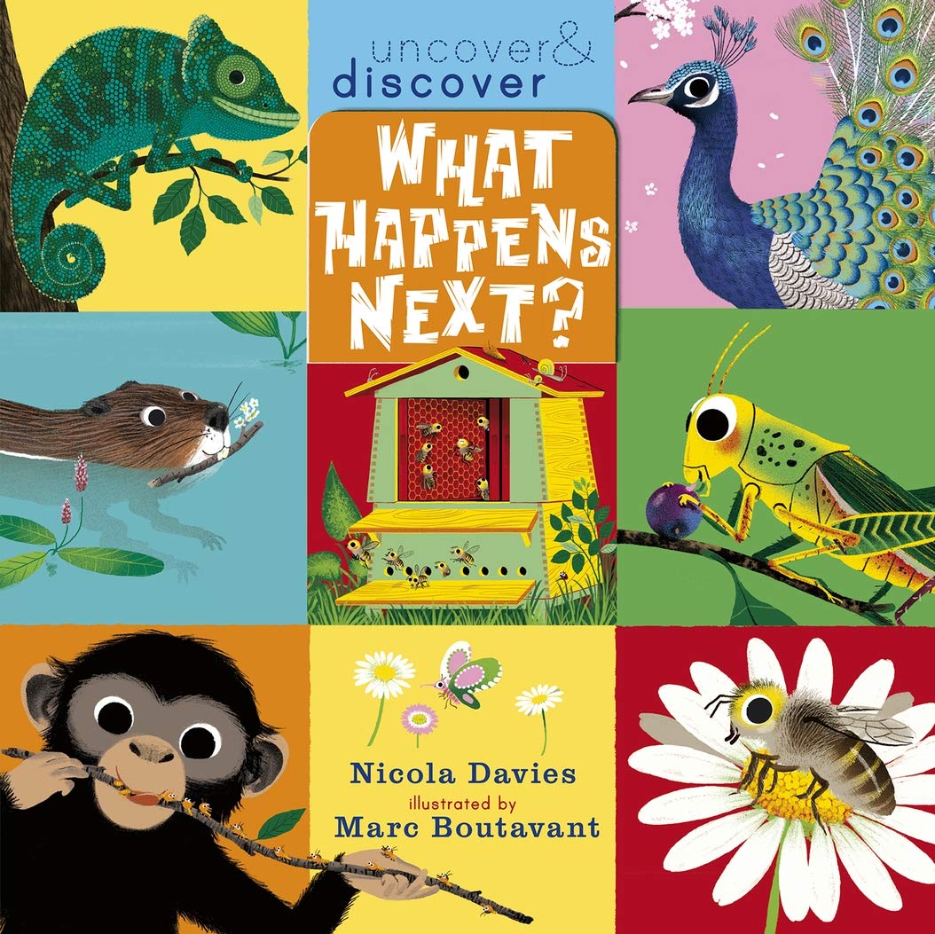 What Happens Next? (Uncover and Discover) Natural Sciences
