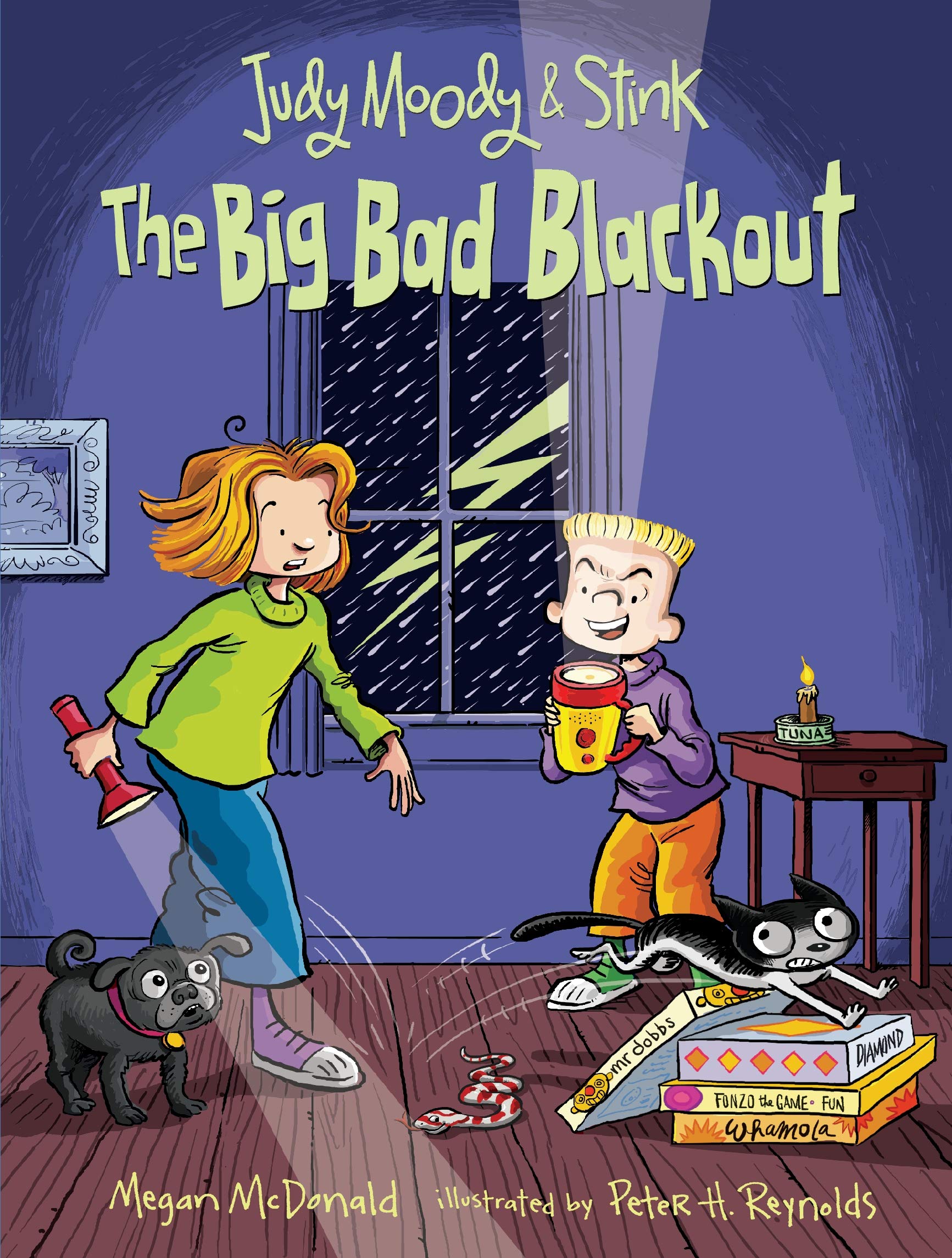 Judy Moody and Stink: The Big Bad Blackout Non-fiction