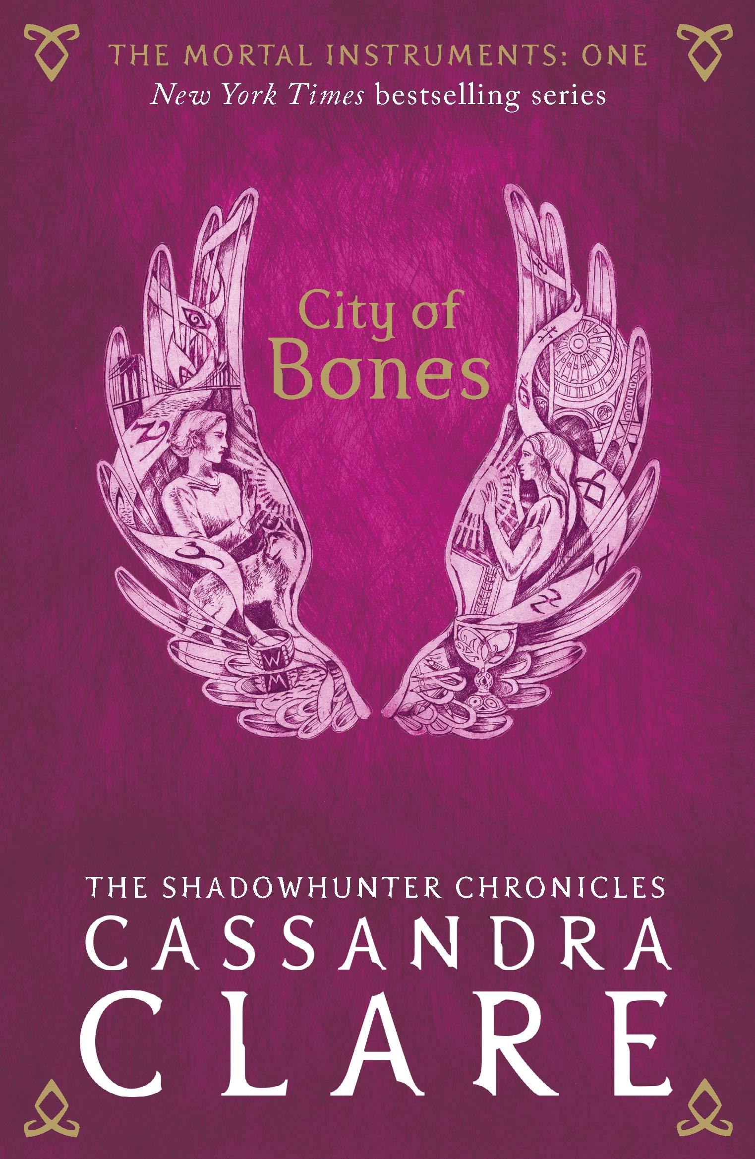 The Mortal Instruments 1: City of Bones book