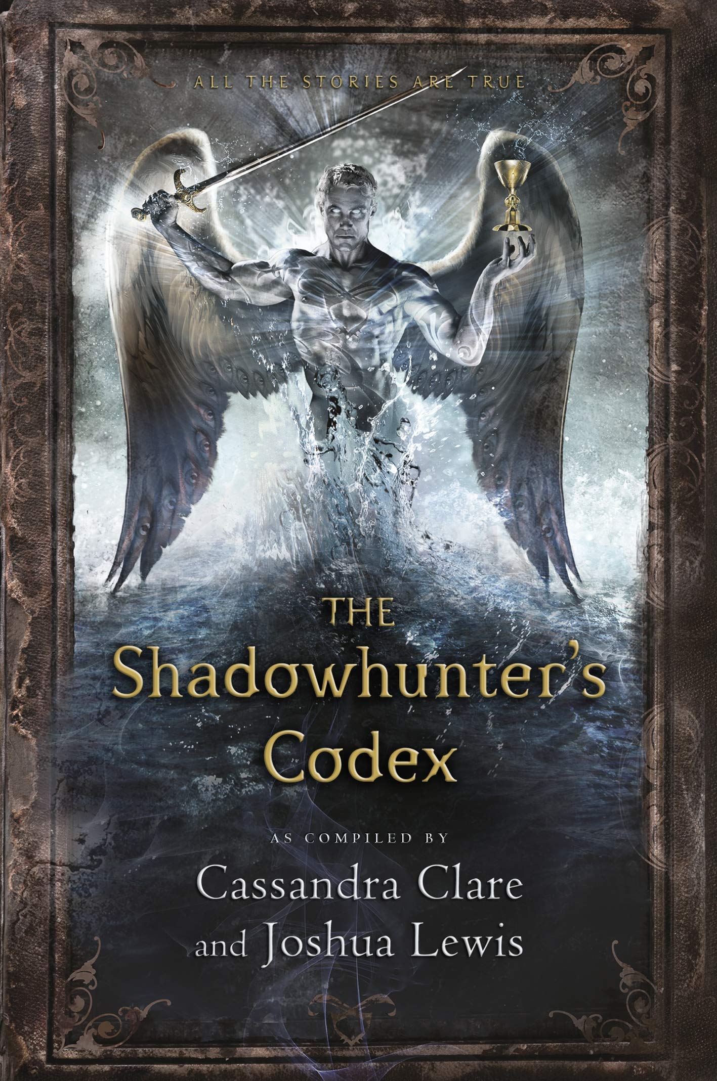 The Shadowhunter's Codex Contemporary literature Books