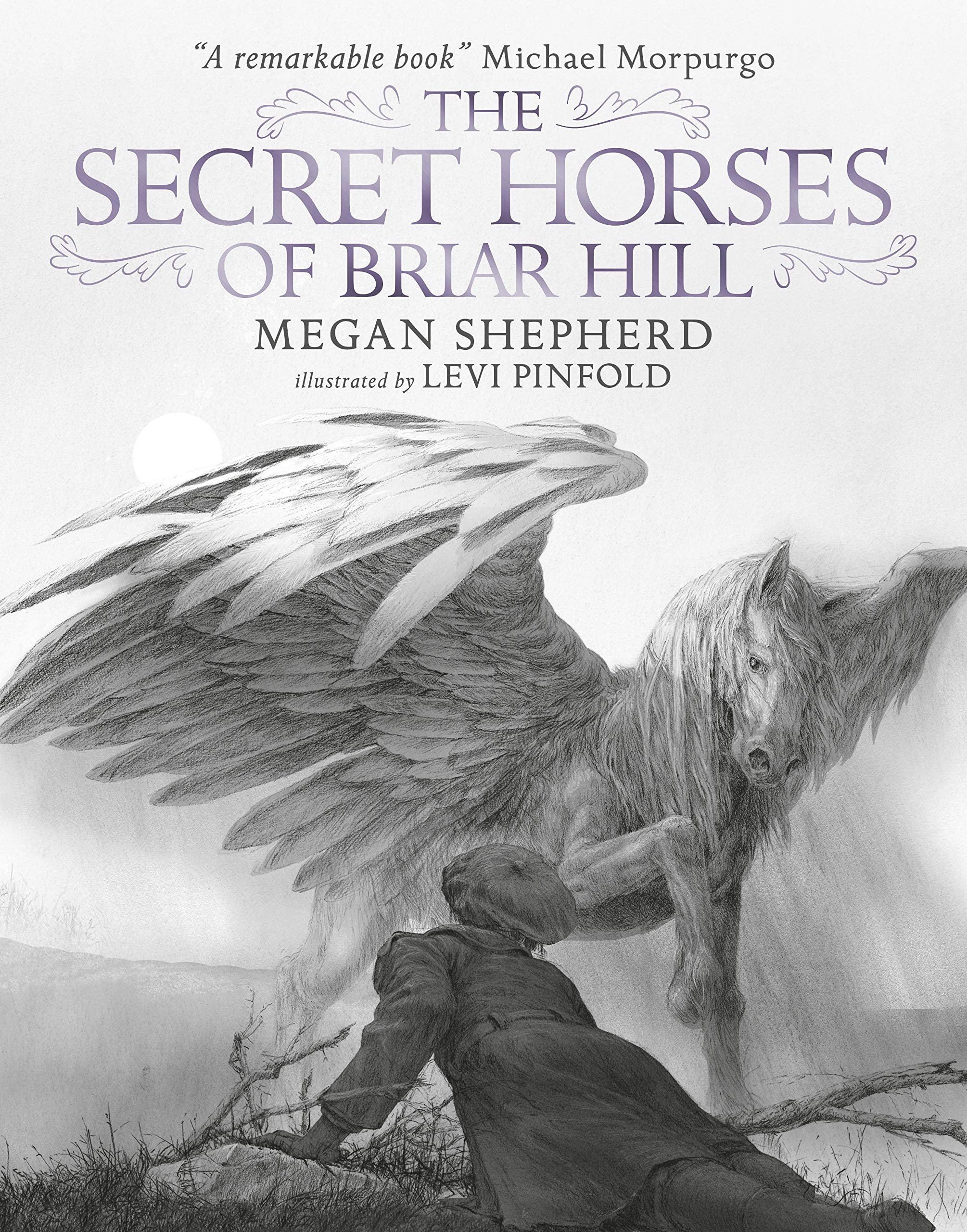 The Secret Horses of Briar Hill Non-fiction