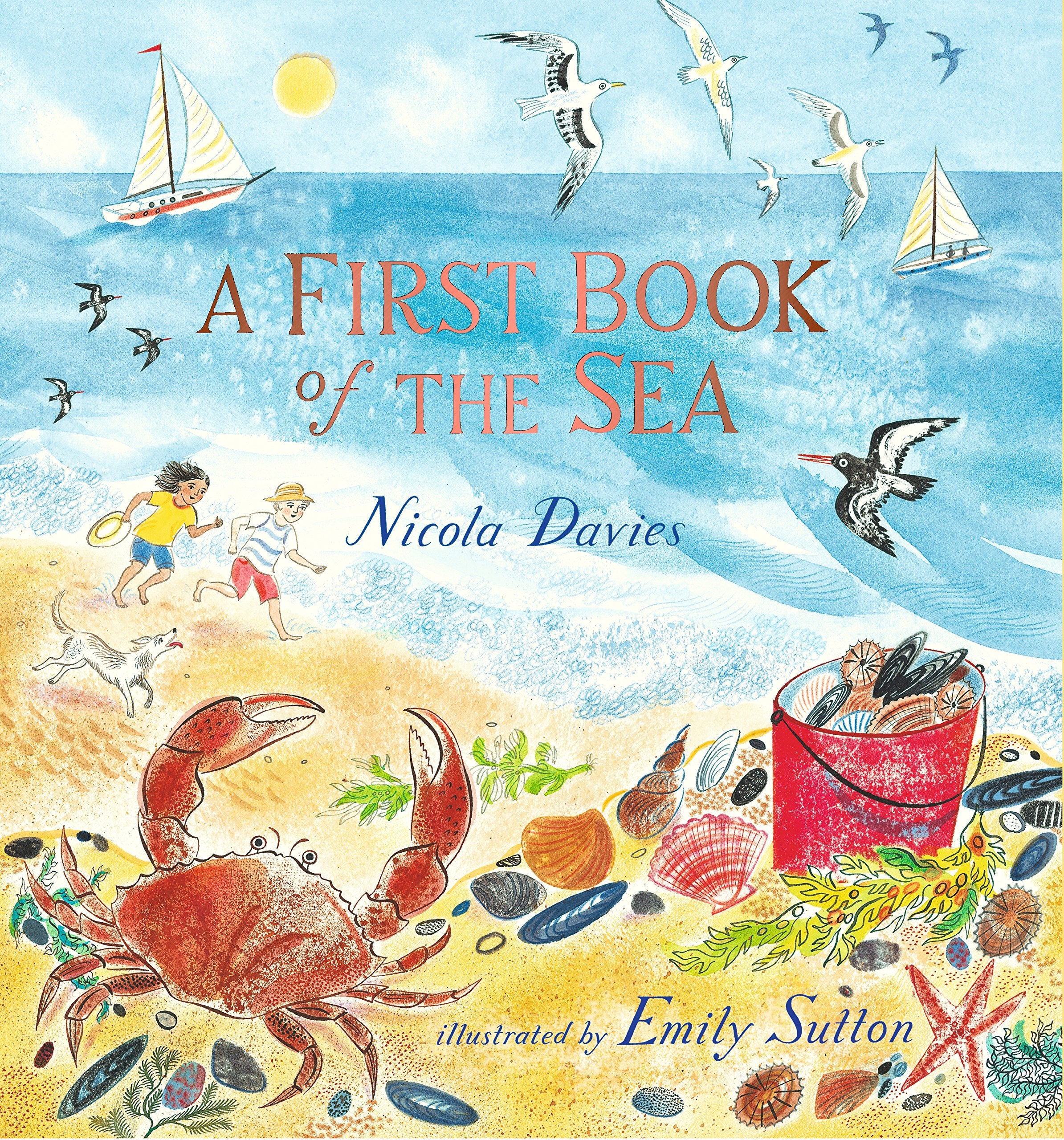 A First Book of the Sea book