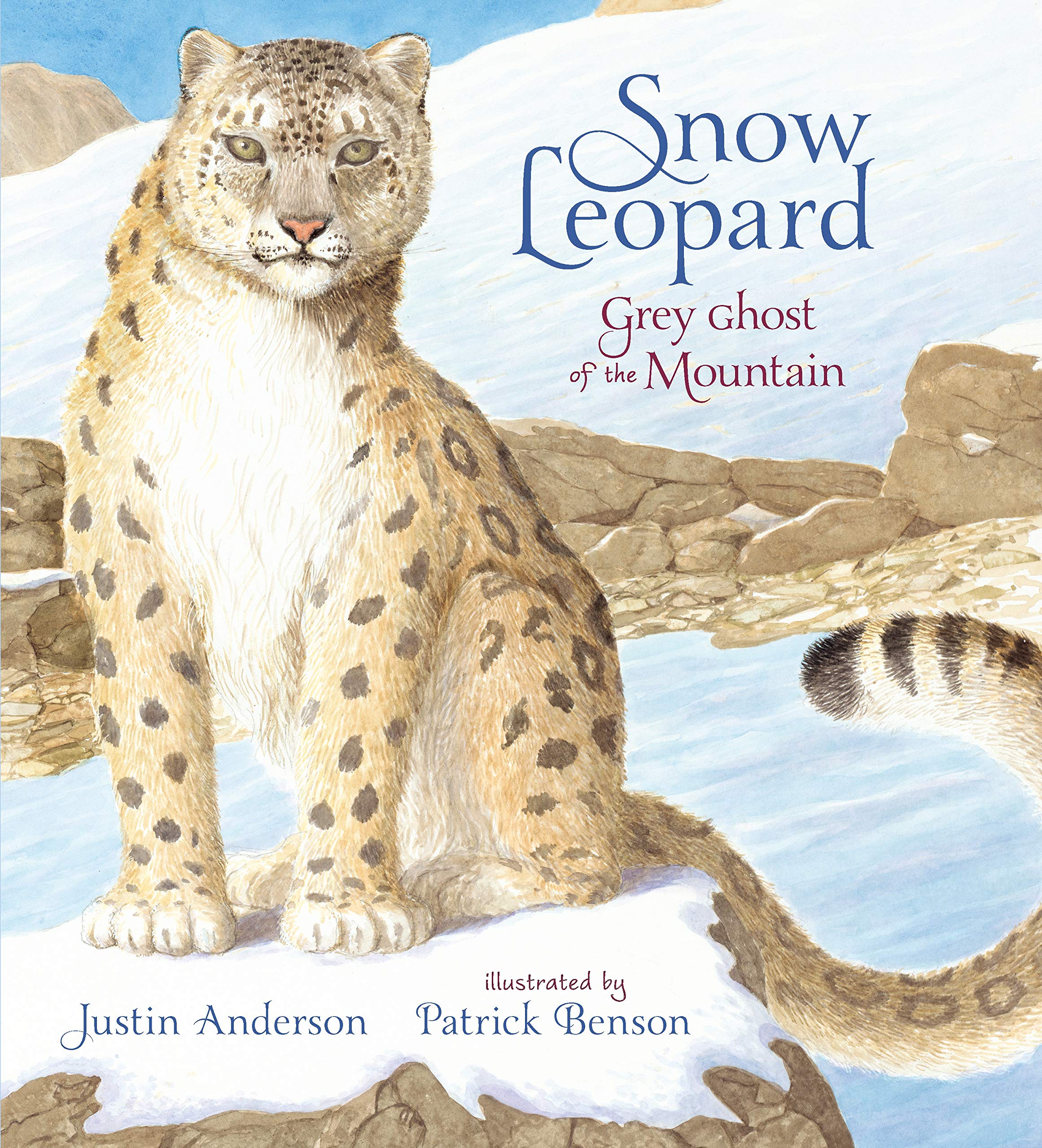 Snow Leopard: Grey Ghost of the Mountain (Nature Storybooks) Non-fiction