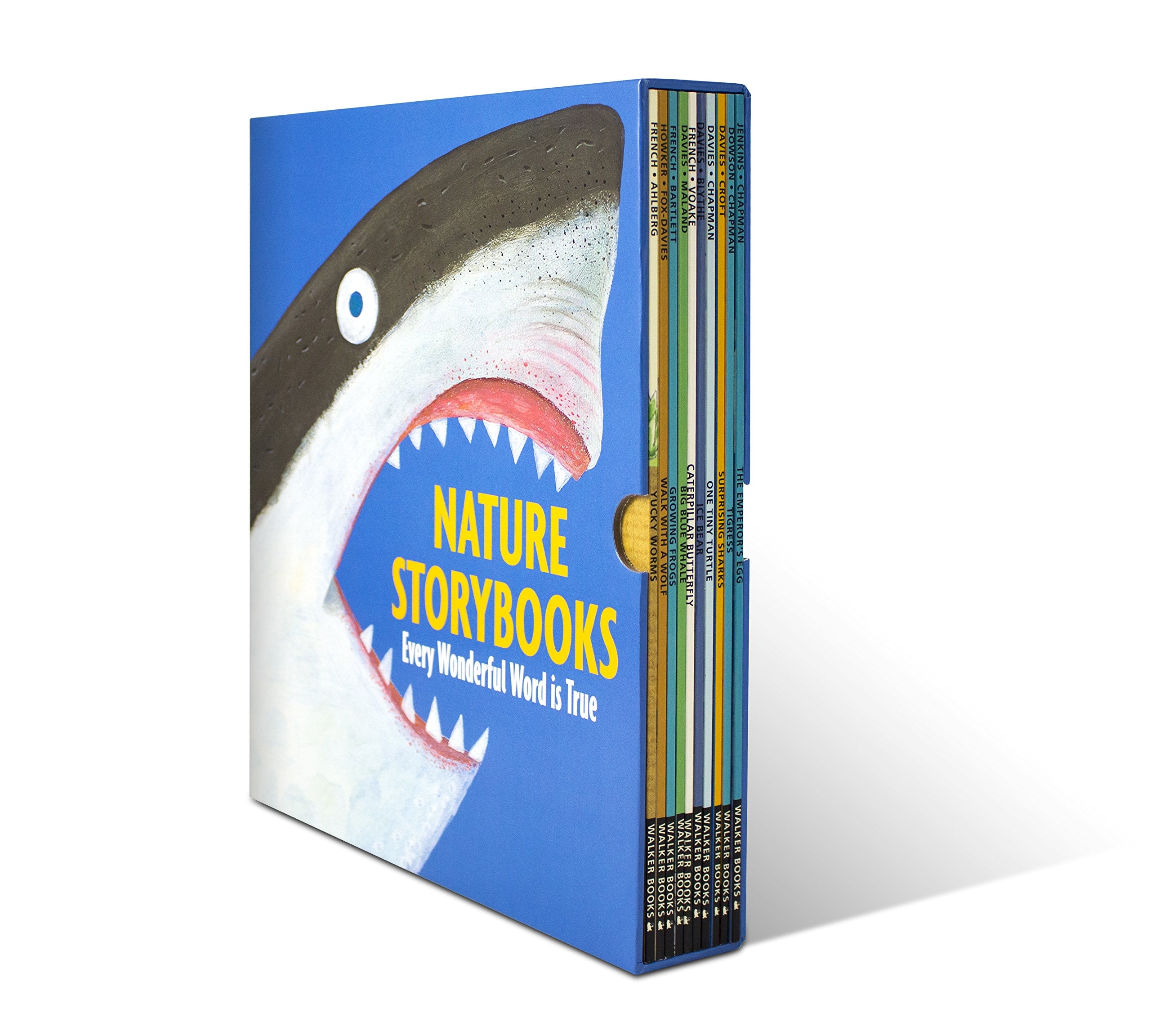Nature Storybooks: Every Wonderful Word is True book