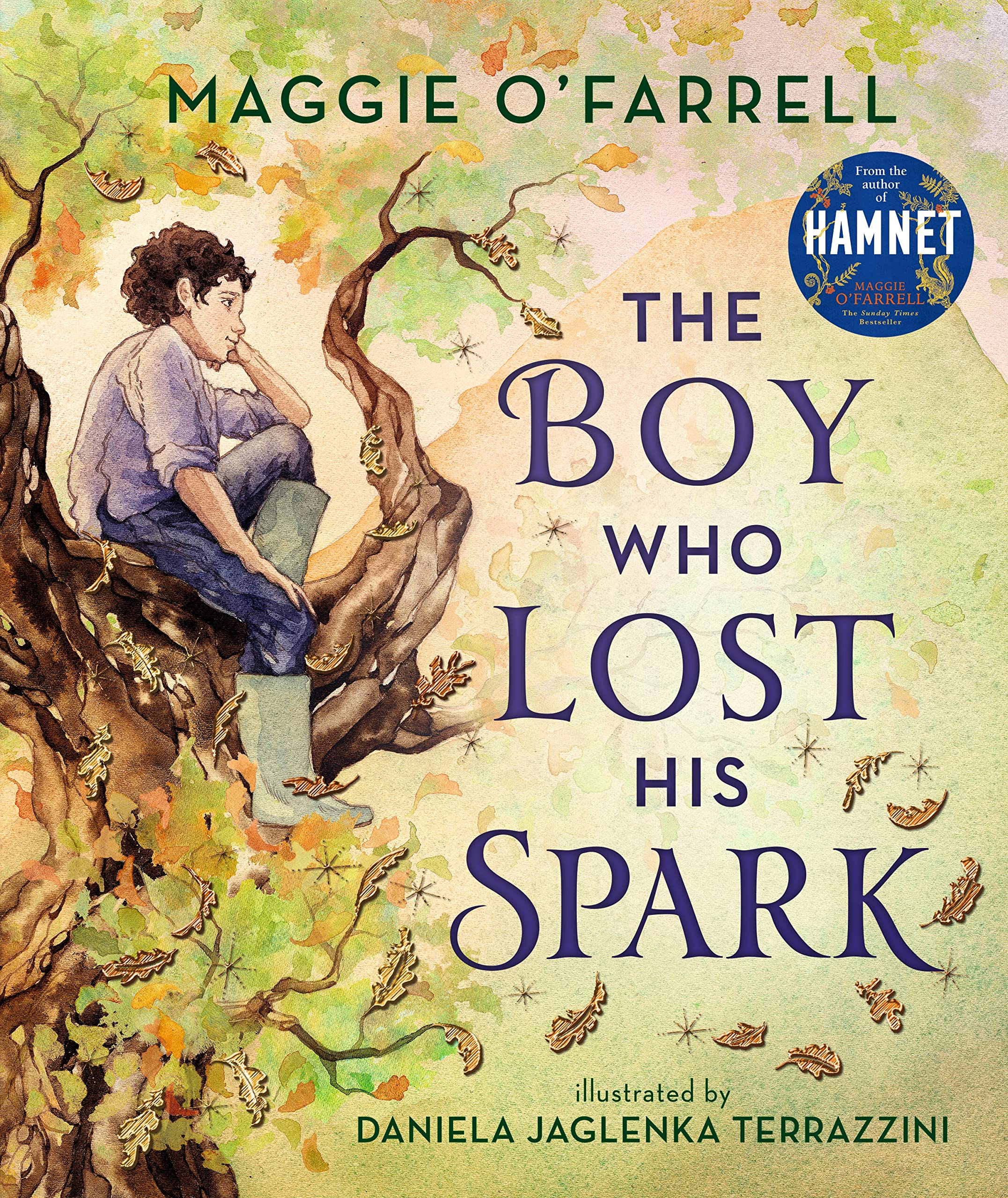Product Image: The Boy Who Lost His Spark