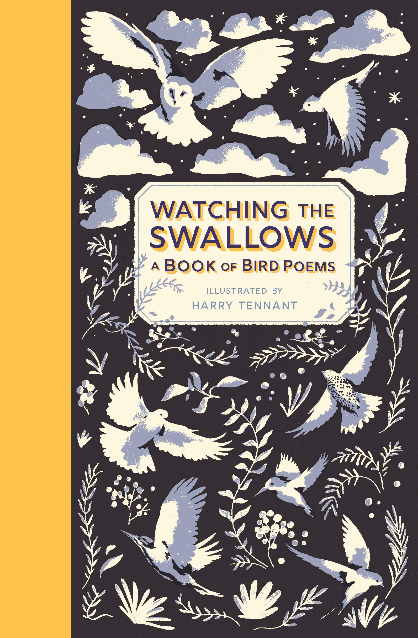 Watching the Swallows: A Book of Bird Poems Poetry