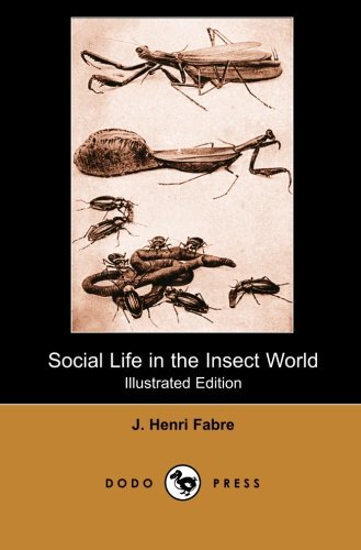 Social Life in the Insect World (Illustrated Edition) (Dodo Press) Mathematics