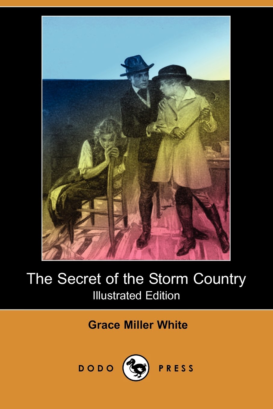 The Secret of the Storm Country Contemporary literature