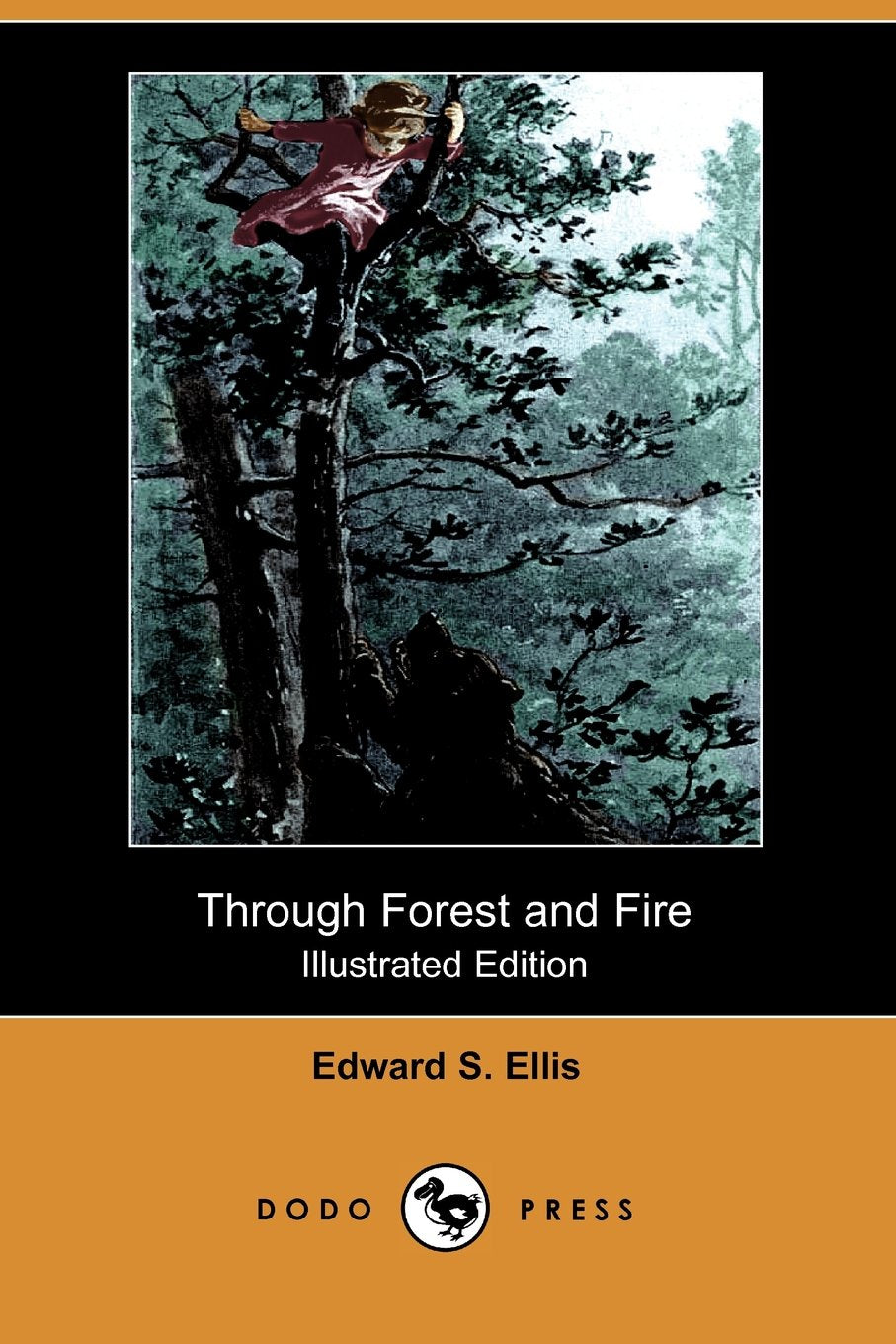 Through Forest and Fire Contemporary literature