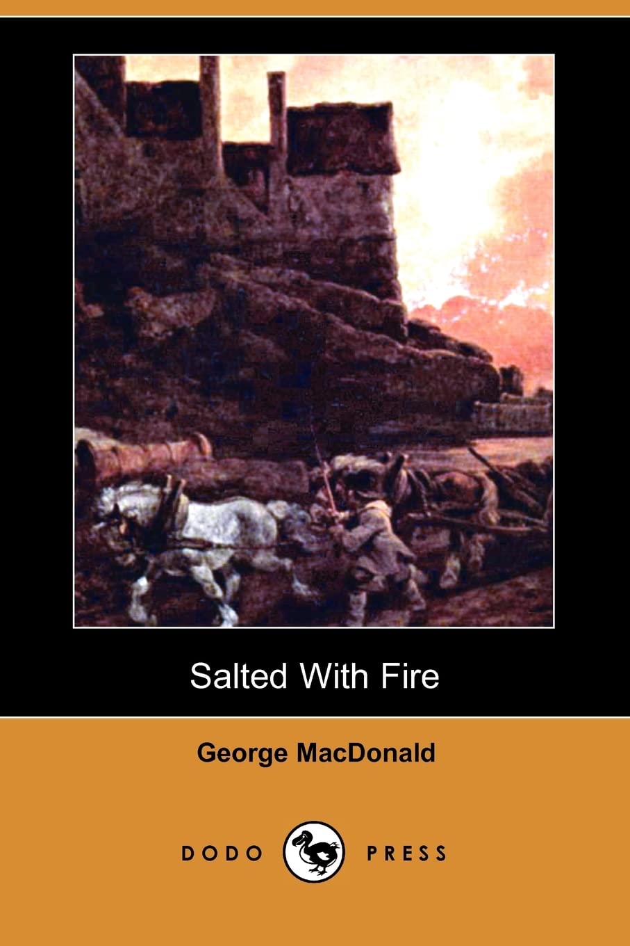 Product Image: Salted with Fire (Dodo Press)