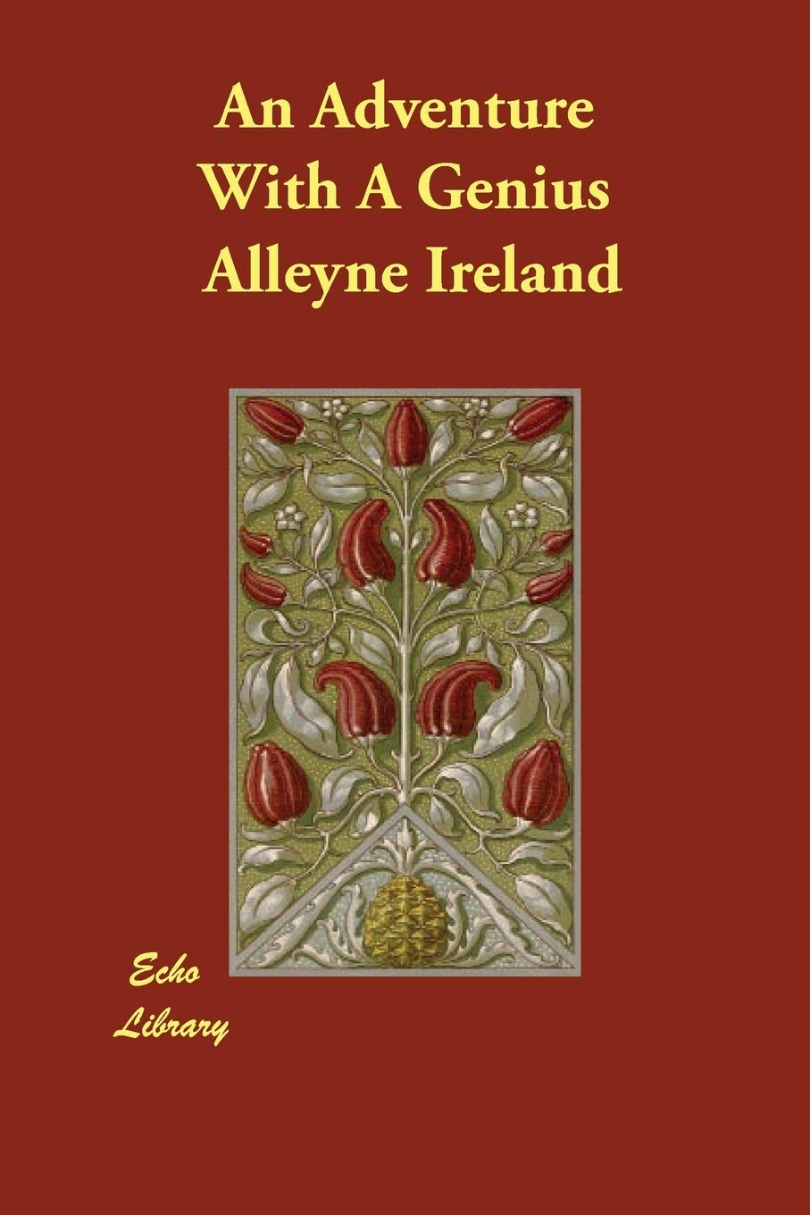 An Adventure With a Genius Contemporary literature