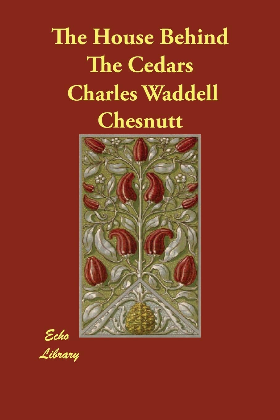 The House Behind The Cedars Contemporary literature