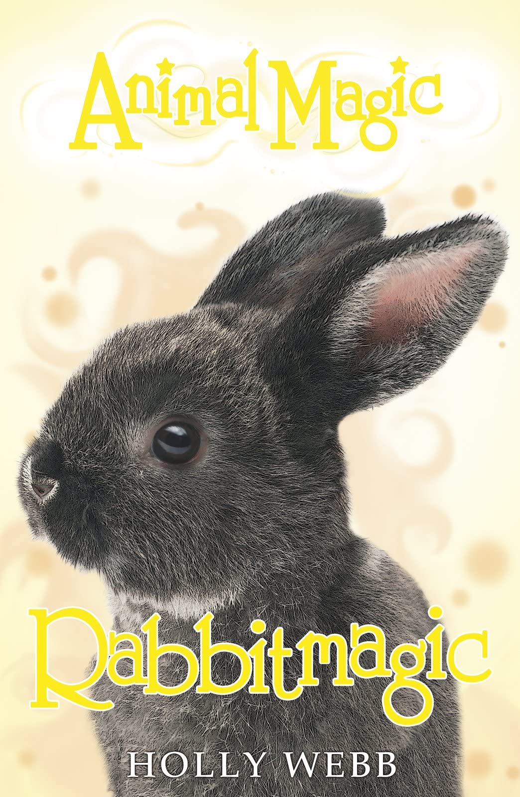Rabbitmagic (Animal Magic, Band 4) Non-fiction