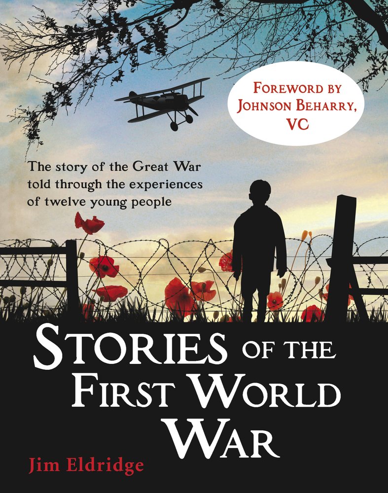 Stories of the First World War (My Story) book