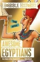 Deary, T: Awesome Egyptians Non-fiction books for kids