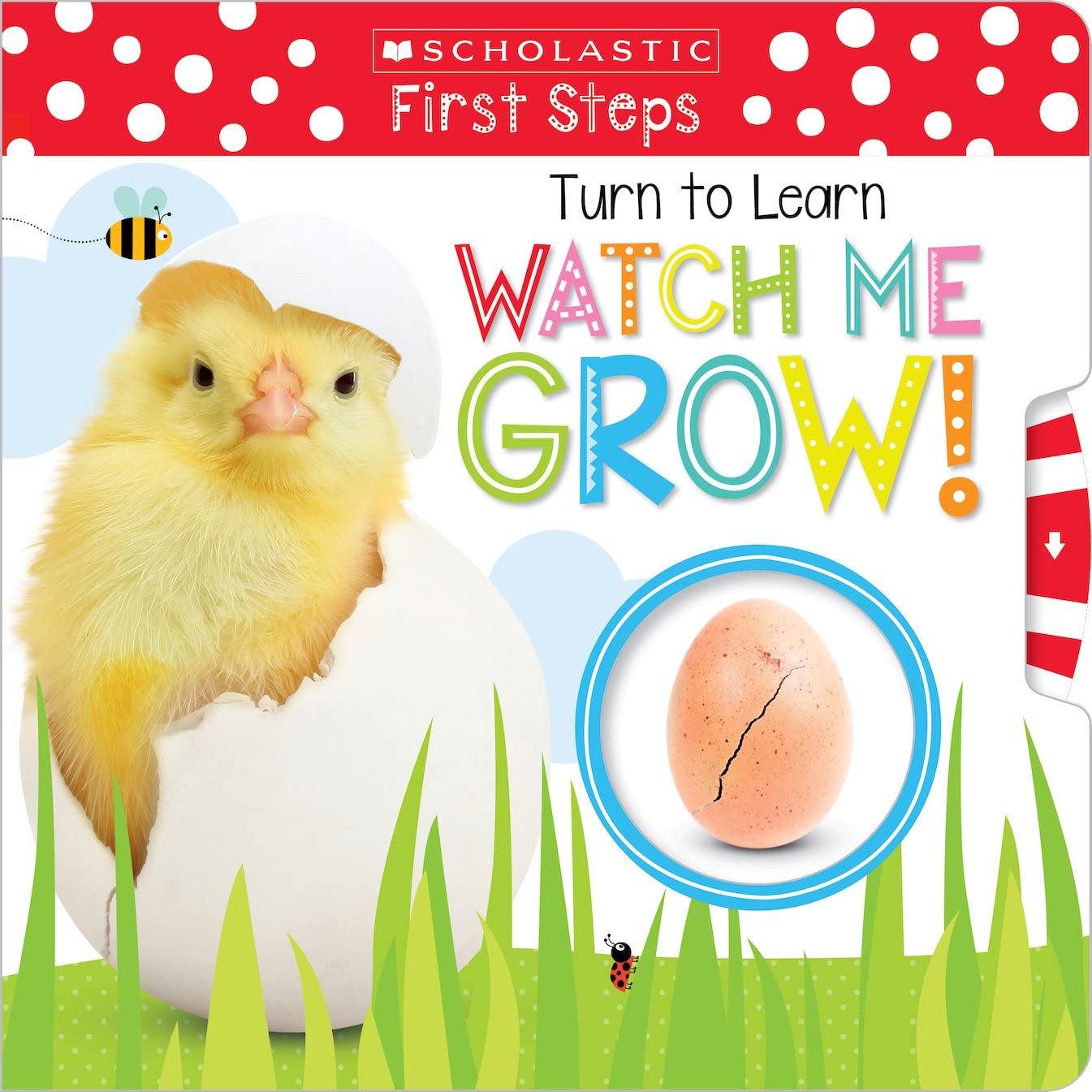 Turn to Learn Watch Me Grow!: A Book of Life Cycles (Scholastic Early Learners) book