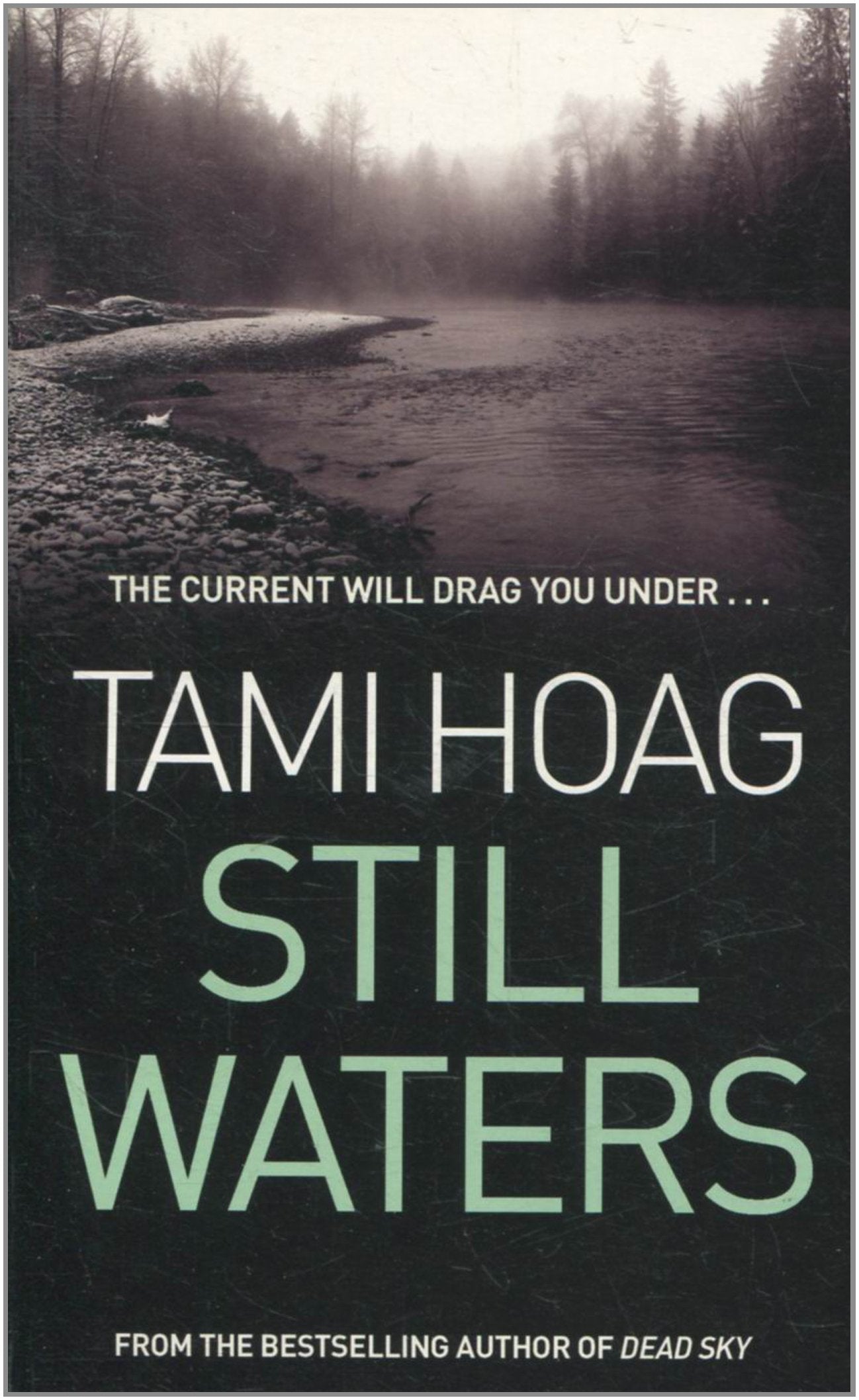 STILL WATERS Contemporary literature Books
