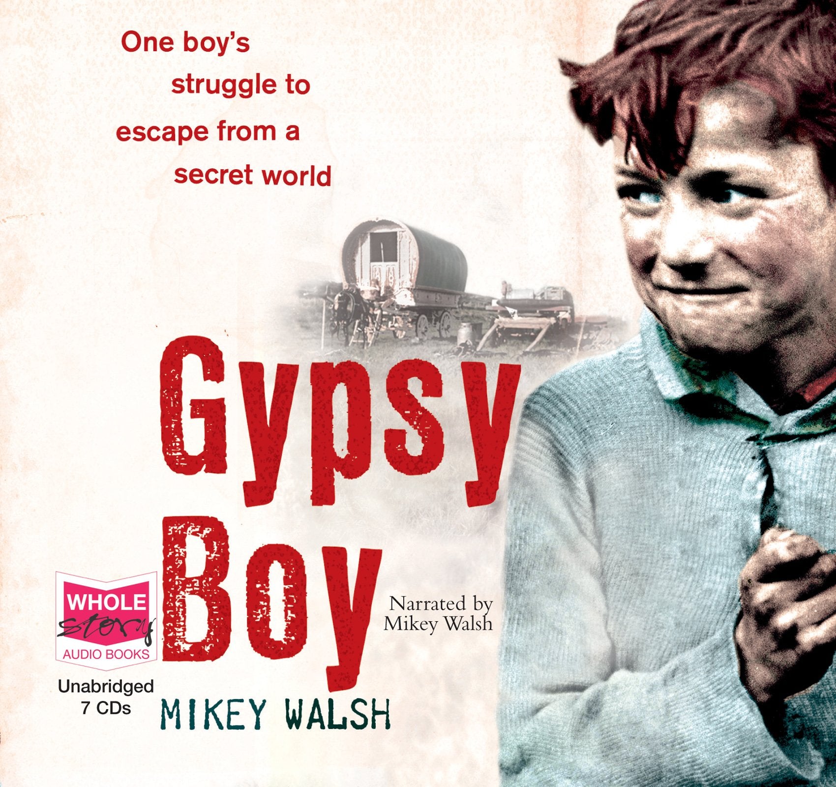 Gypsy Boy: One Boy's Struggle to Escape from a Secret World (Gypsy Boy Series, Band 1) Memories