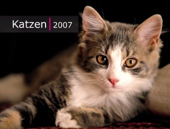 Katzen 2008 Calendars