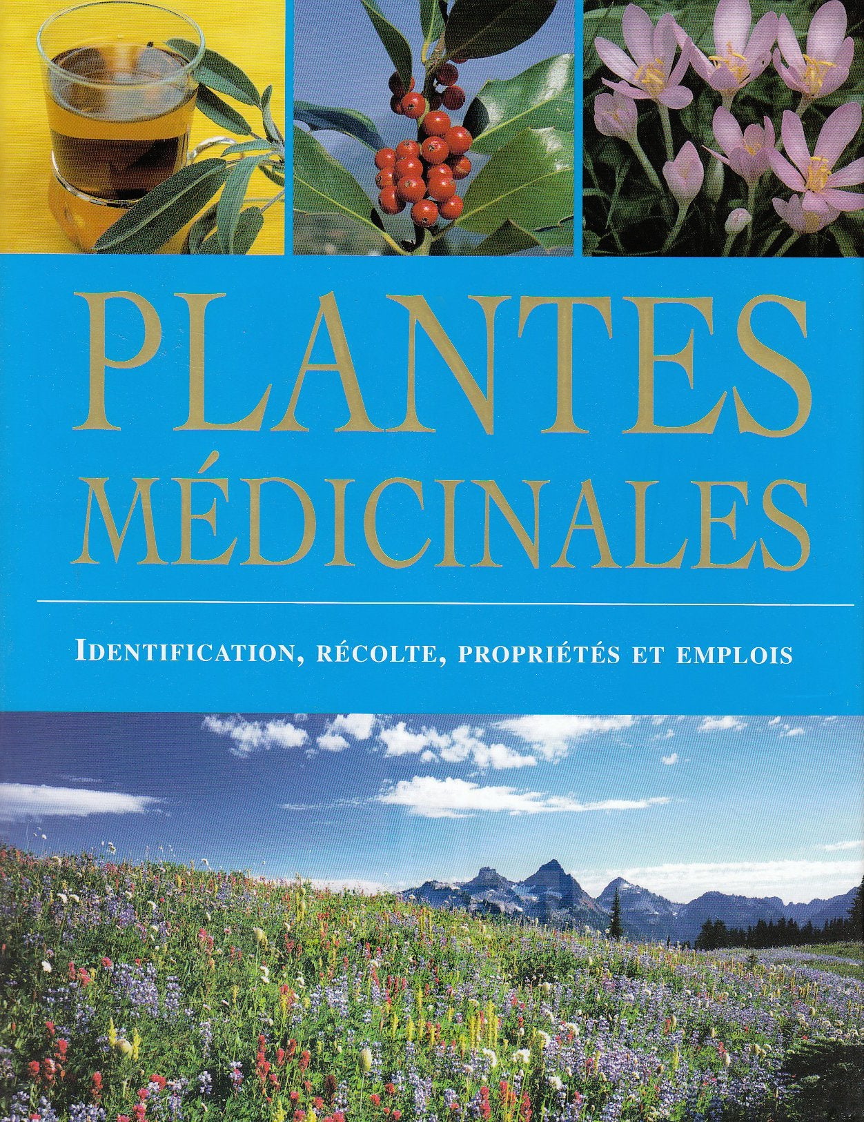 Plantes médicinales: Identification, récolte, propriétés et emplois Books