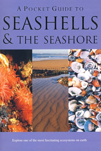 A Pocket Guide to Seashells & the Seashore book