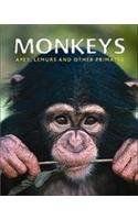 Monkeys: A Captivating Look at These Fascinating Animals Mathematics