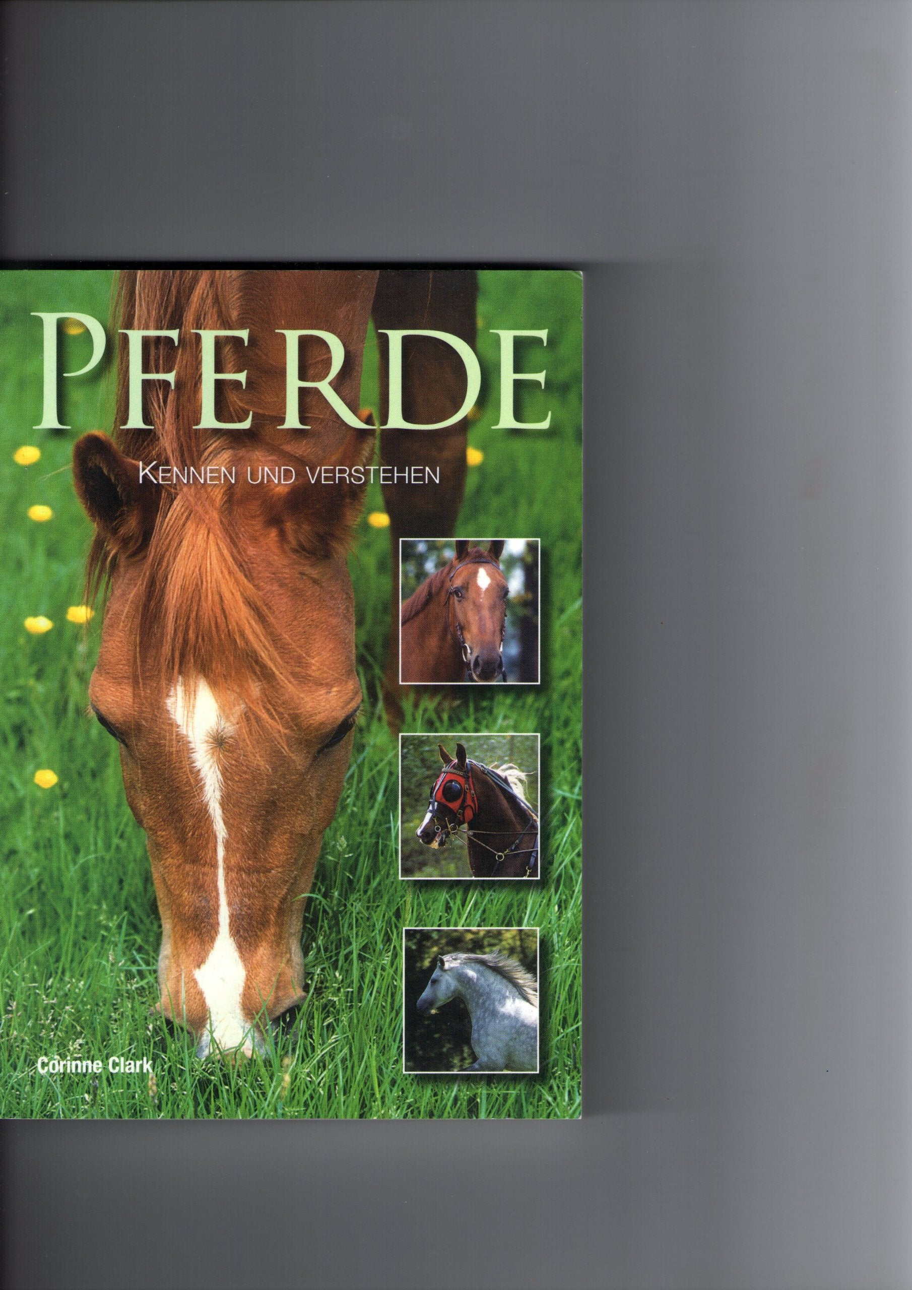 Pferde Books