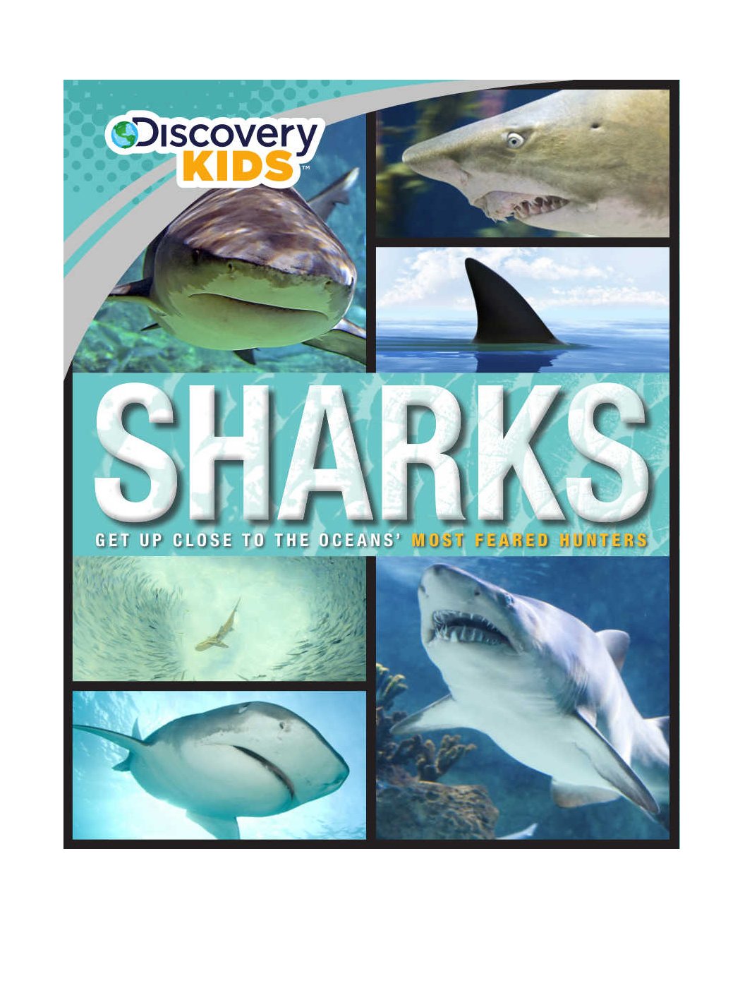 Sharks (Discovery Kids) (Discovery Kids Read and Discover) Non-fiction