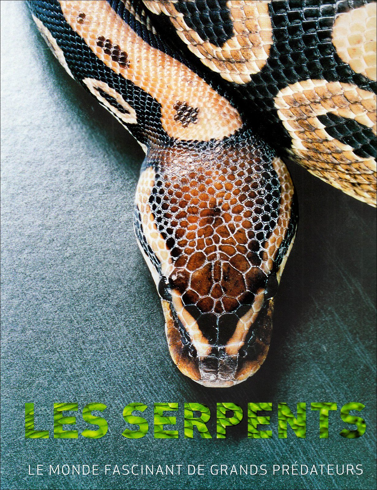 Les serpents: Le monde fascinant des grands prédateurs Books