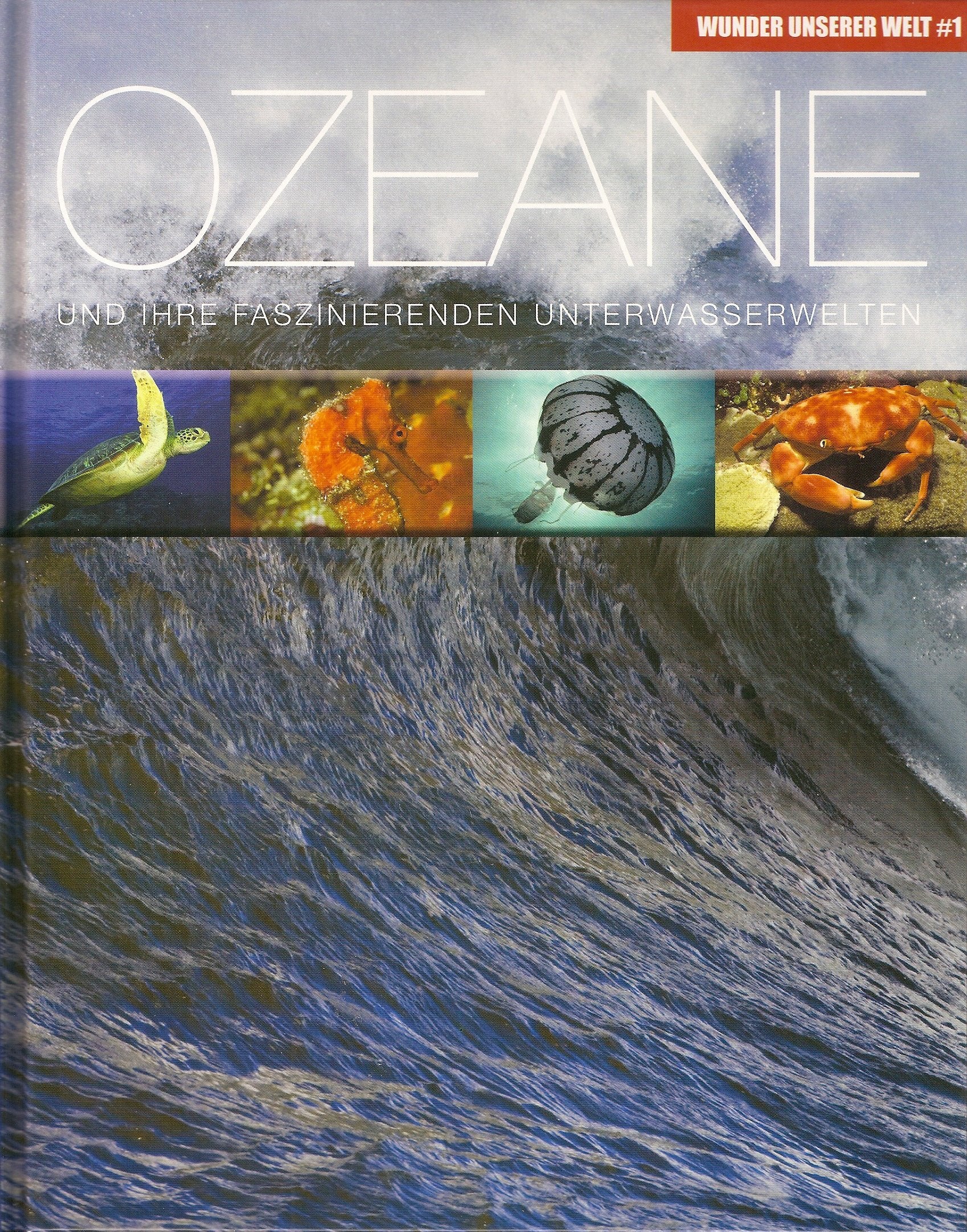 Ozeane: Wunder unserer Welt: Und ihre faszinierenden Unterwasserwelten Travel