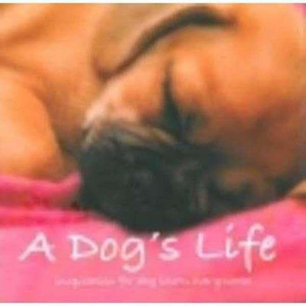 Inspirational Books: A Dog's Life Pets