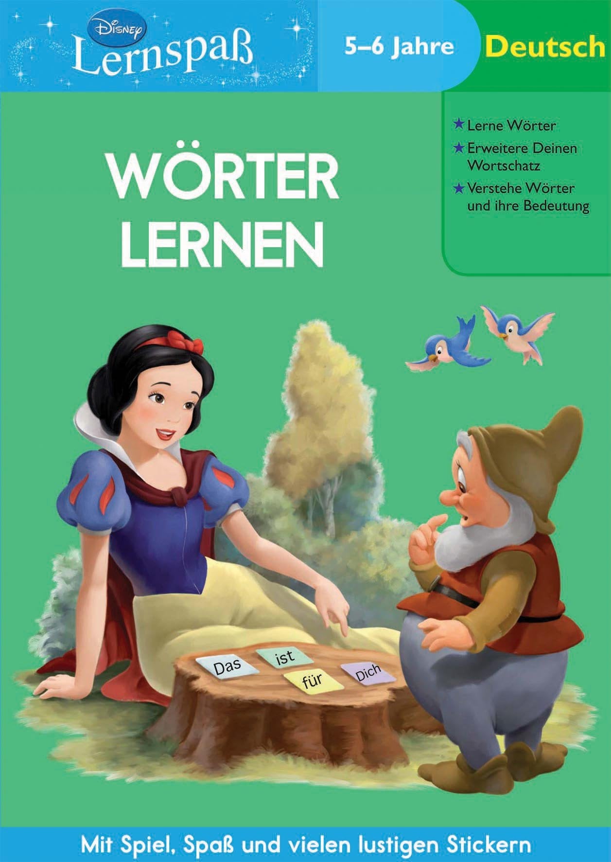 Disney: Lernspaß Prinzessinnen Wörter lernen (5-6 Jahre) Children's books