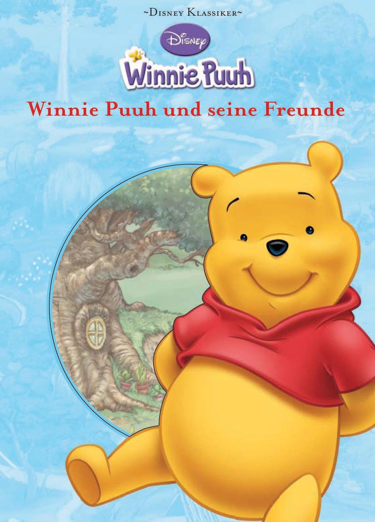 Winnie Puuh und seine Freunde Contemporary literature Books