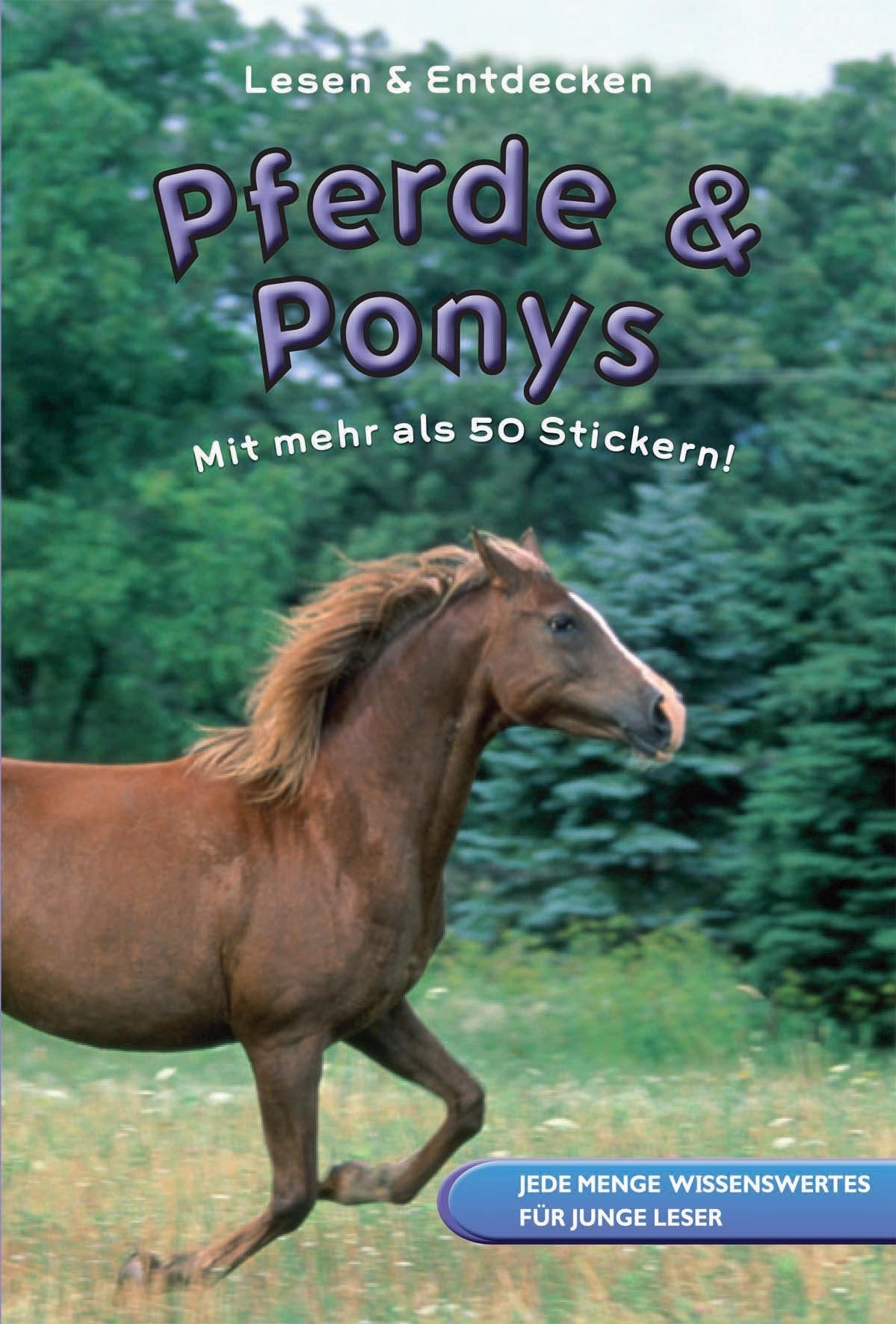 Wissen Für Kids: Pferde Children's books