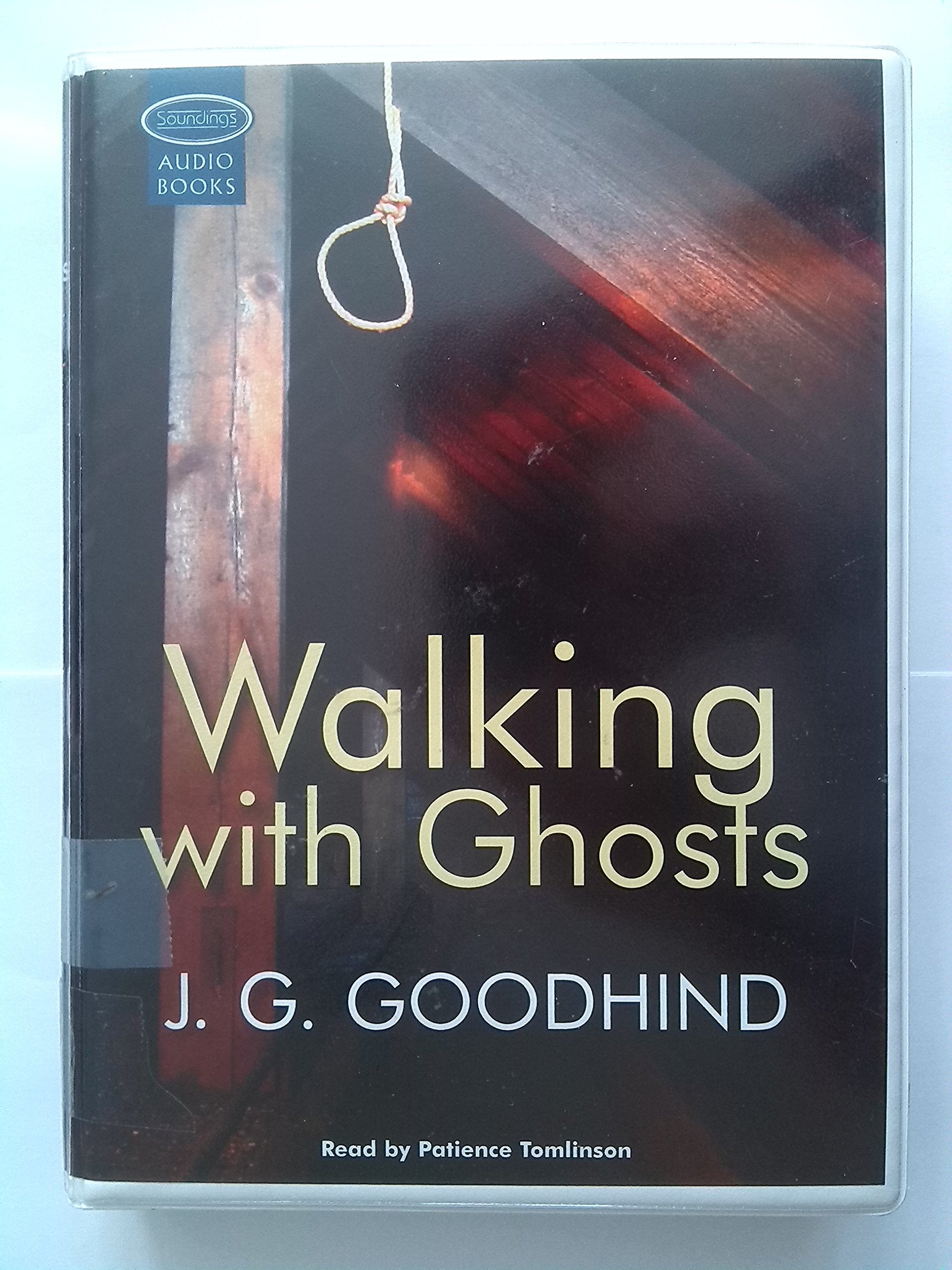 Walking with Ghosts (Honey Driver Mysteries) Contemporary literature