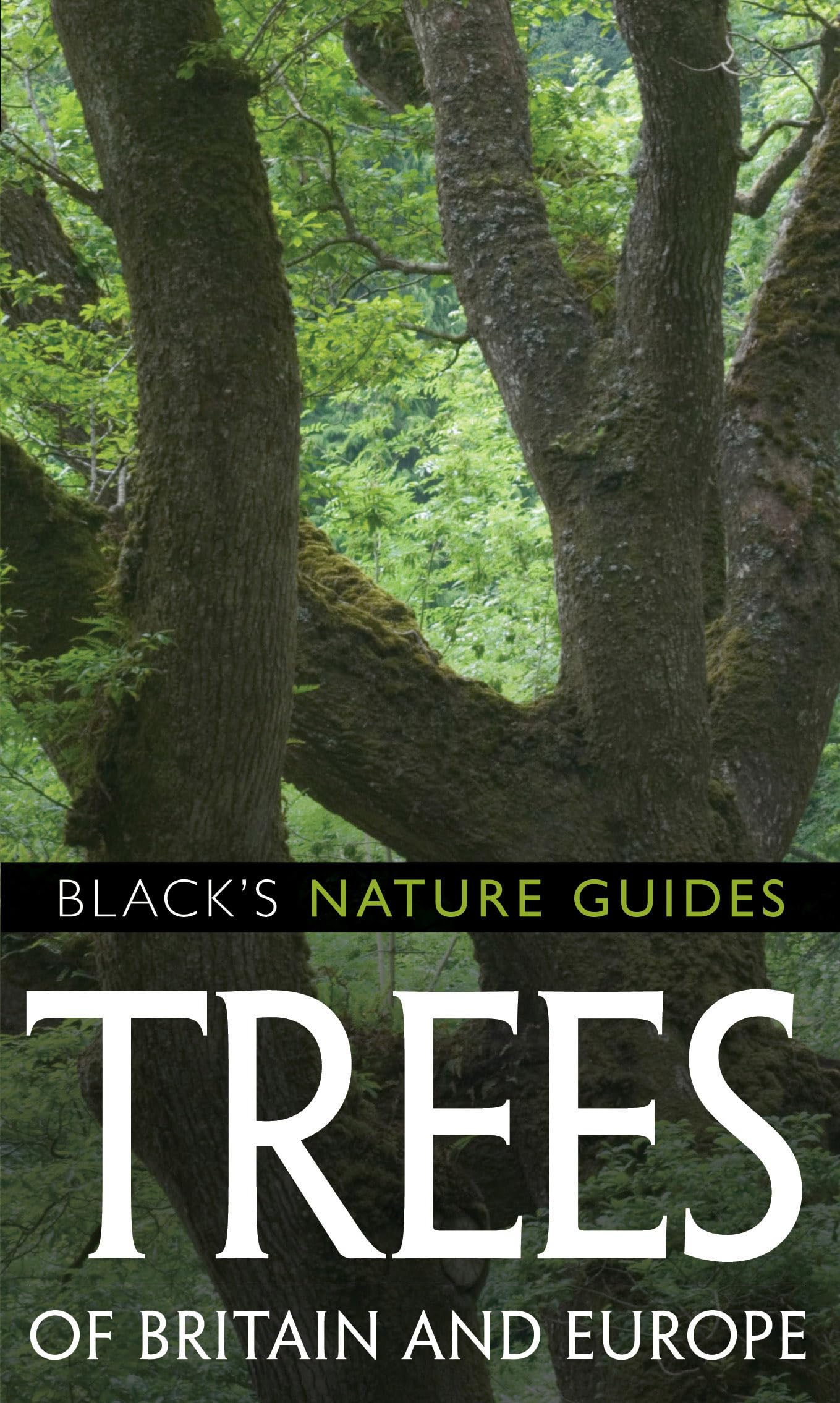 Trees of Britain and Europe (Black's Nature Guides) Leisure, Home & Garden