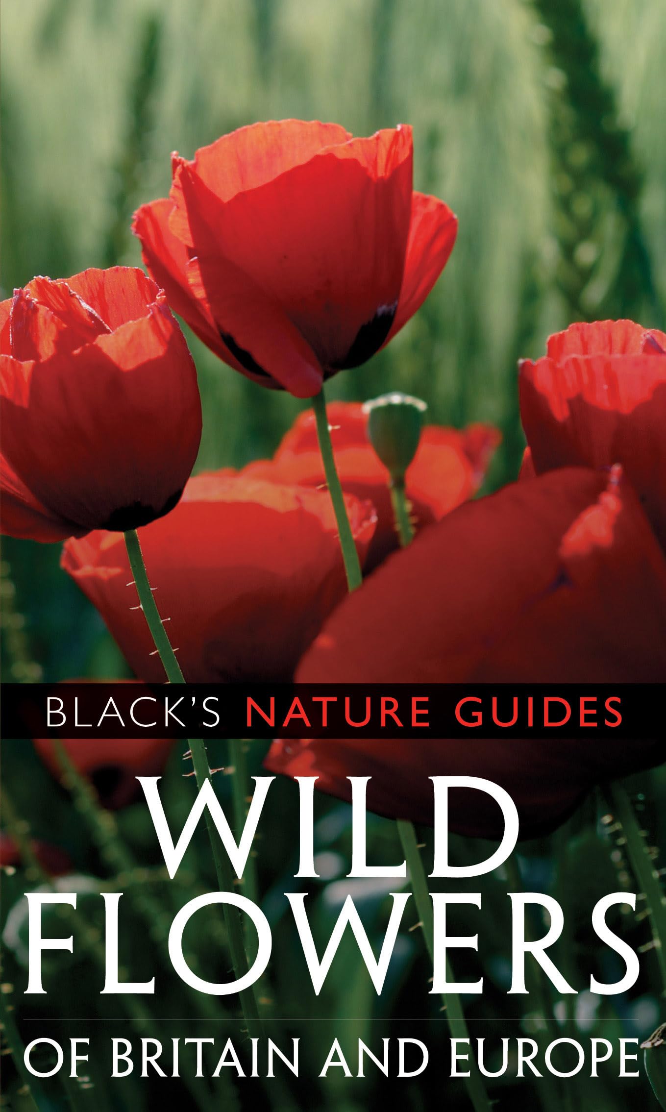 Wild Flowers of Britain and Europe (Black's Nature Guides) Leisure, Home & Garden