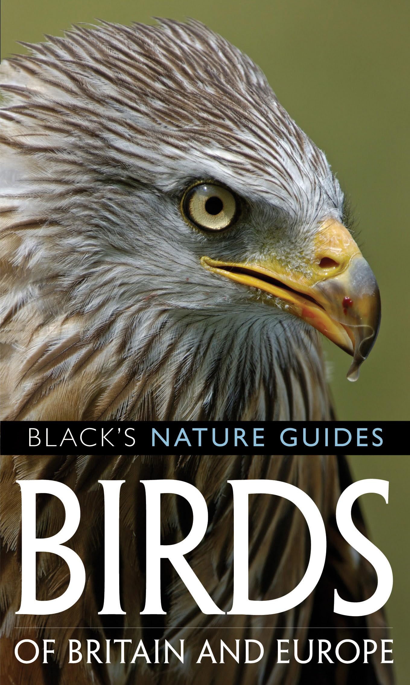 Birds of Britain and Europe (Black's Nature Guides) Mathematics
