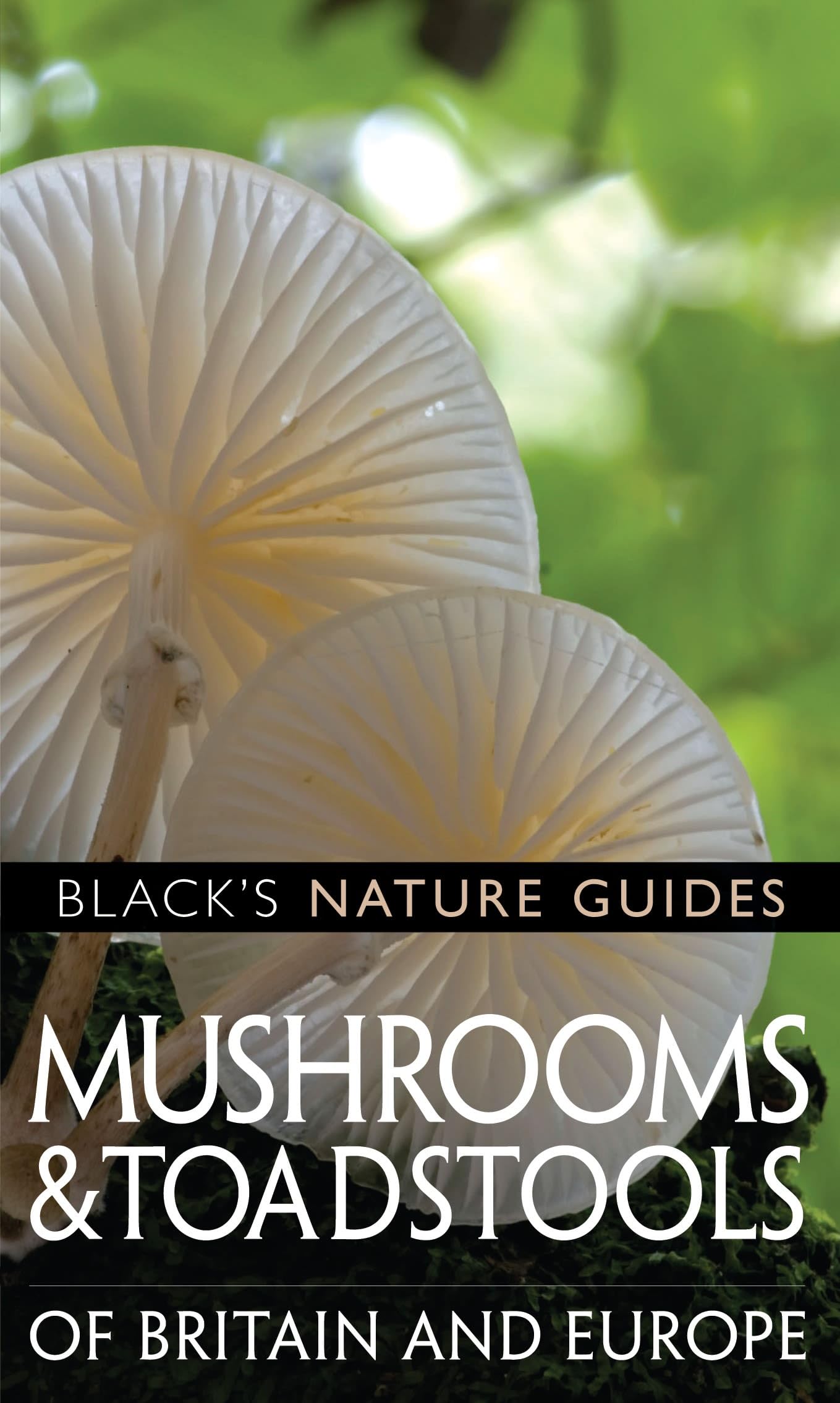 Mushrooms of Britain and Europe (Black's Nature Guides) Mathematics