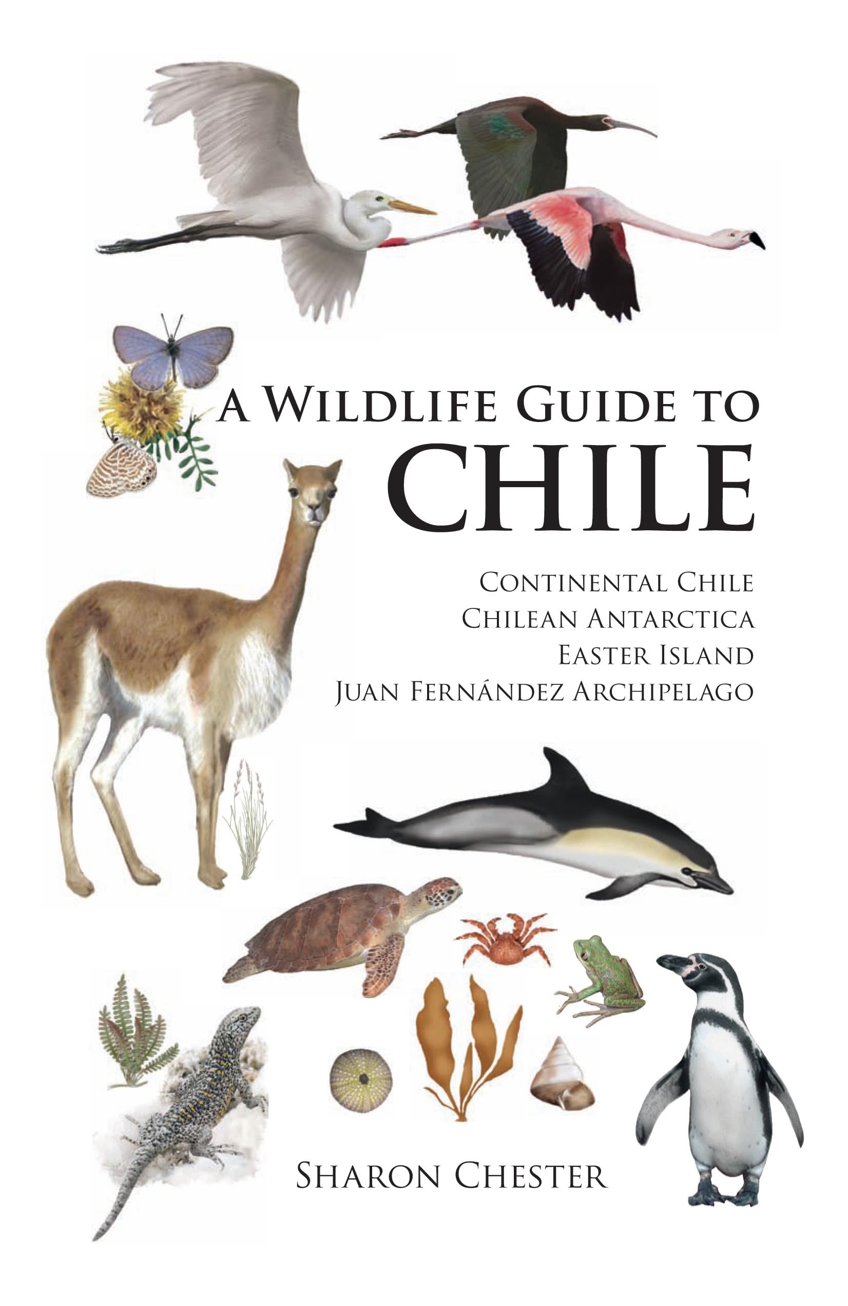 A Wildlife Guide to Chile (Field Guides) Mathematics