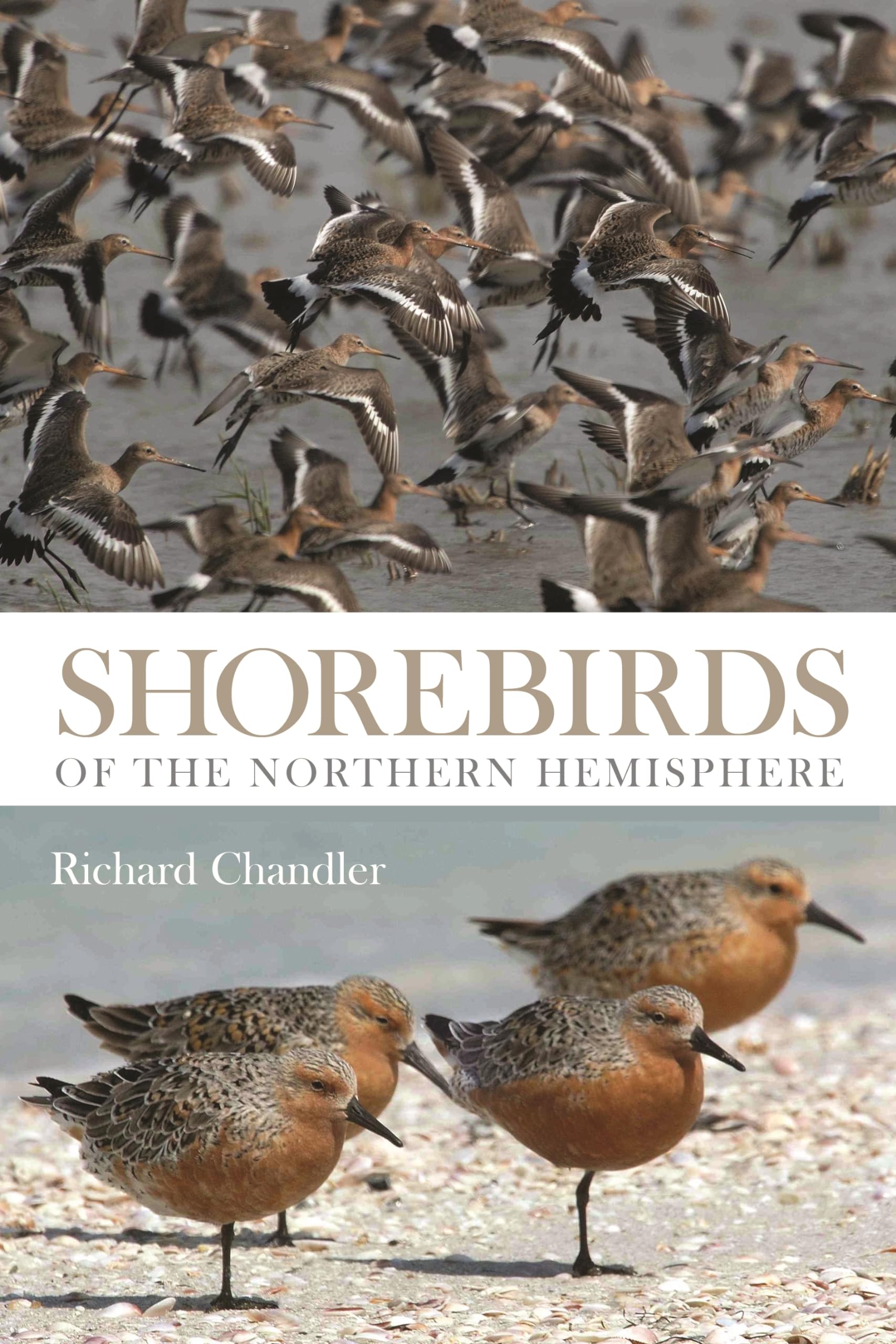 Shorebirds of the Northern Hemisphere Geology & Geography