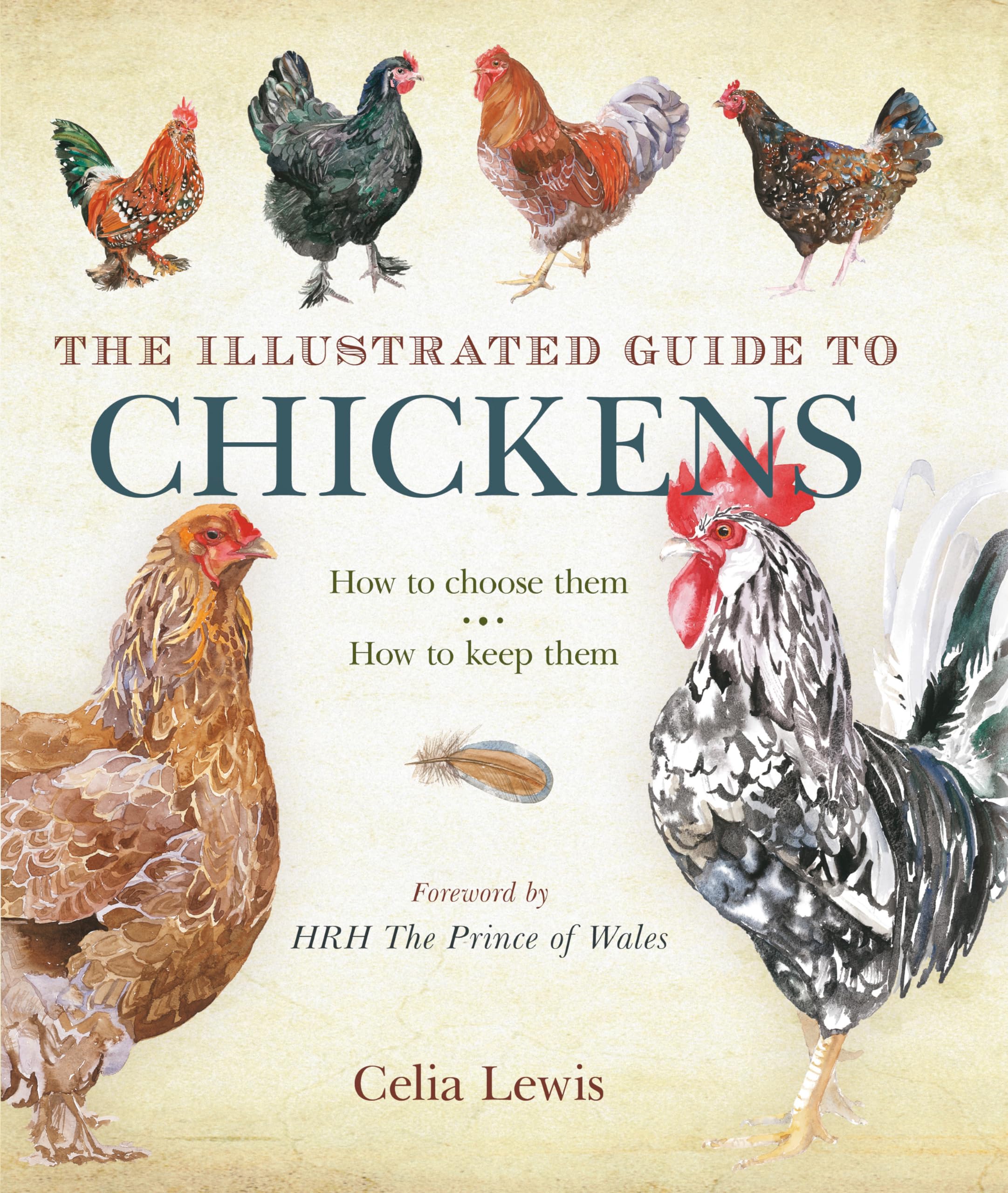 Illustrated Guide to Chickens: How To Choose Them - How To Keep Them Film, Art & Culture