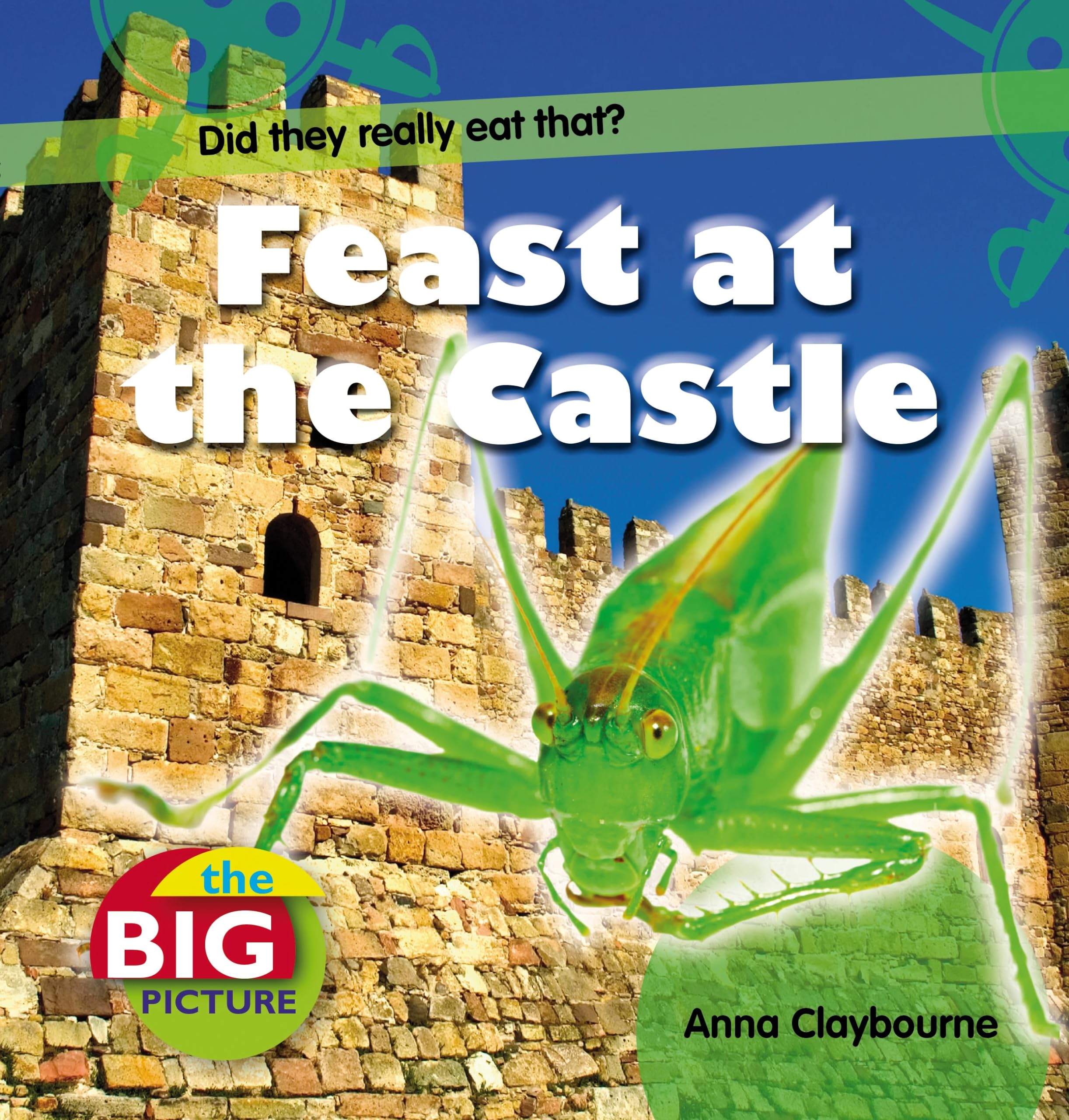 Feast at the Castle (The Big Picture) Study Guides