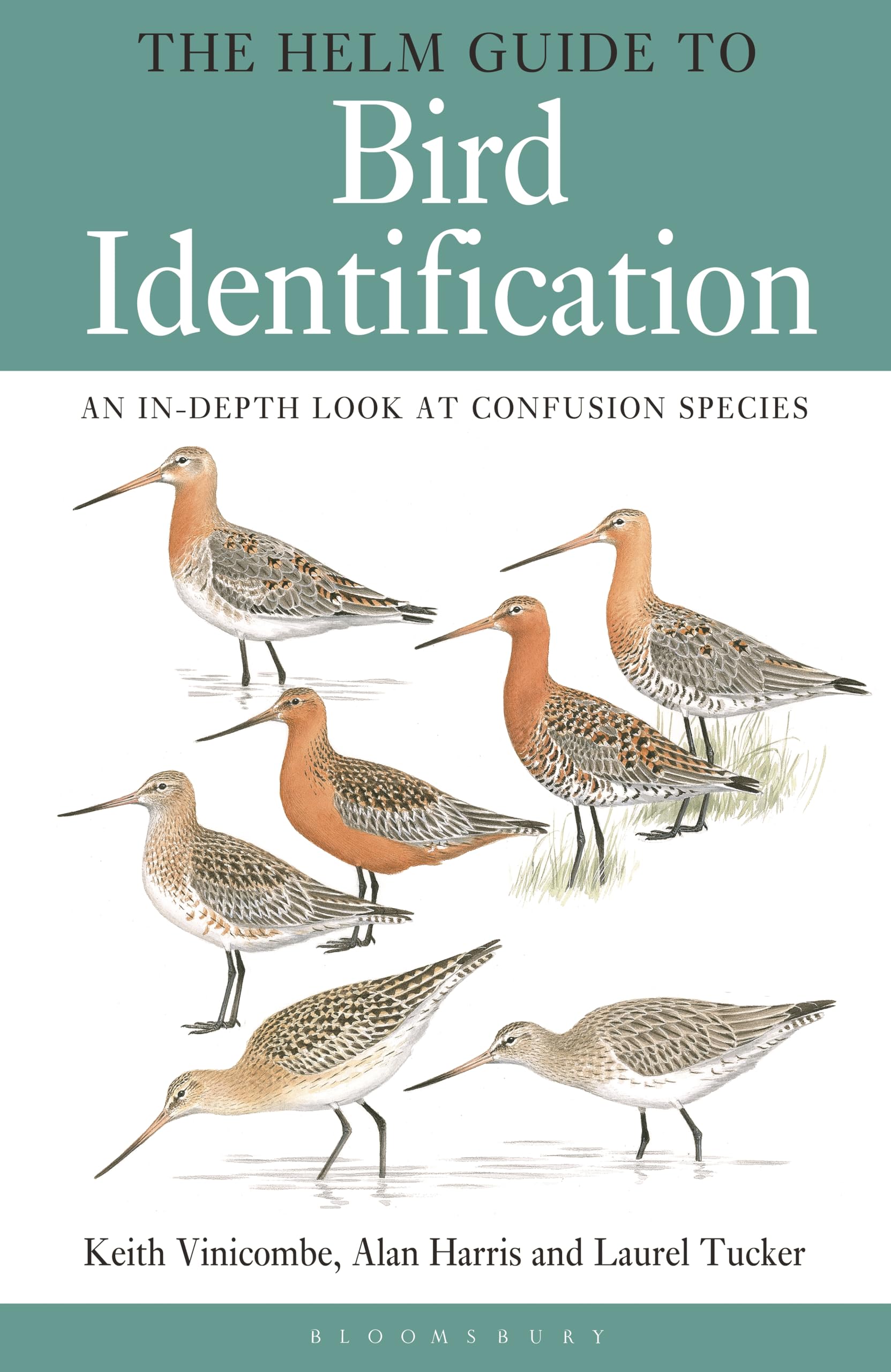 The Helm Guide to Bird Identification: An In-depth Look at Confusion Species Mathematics