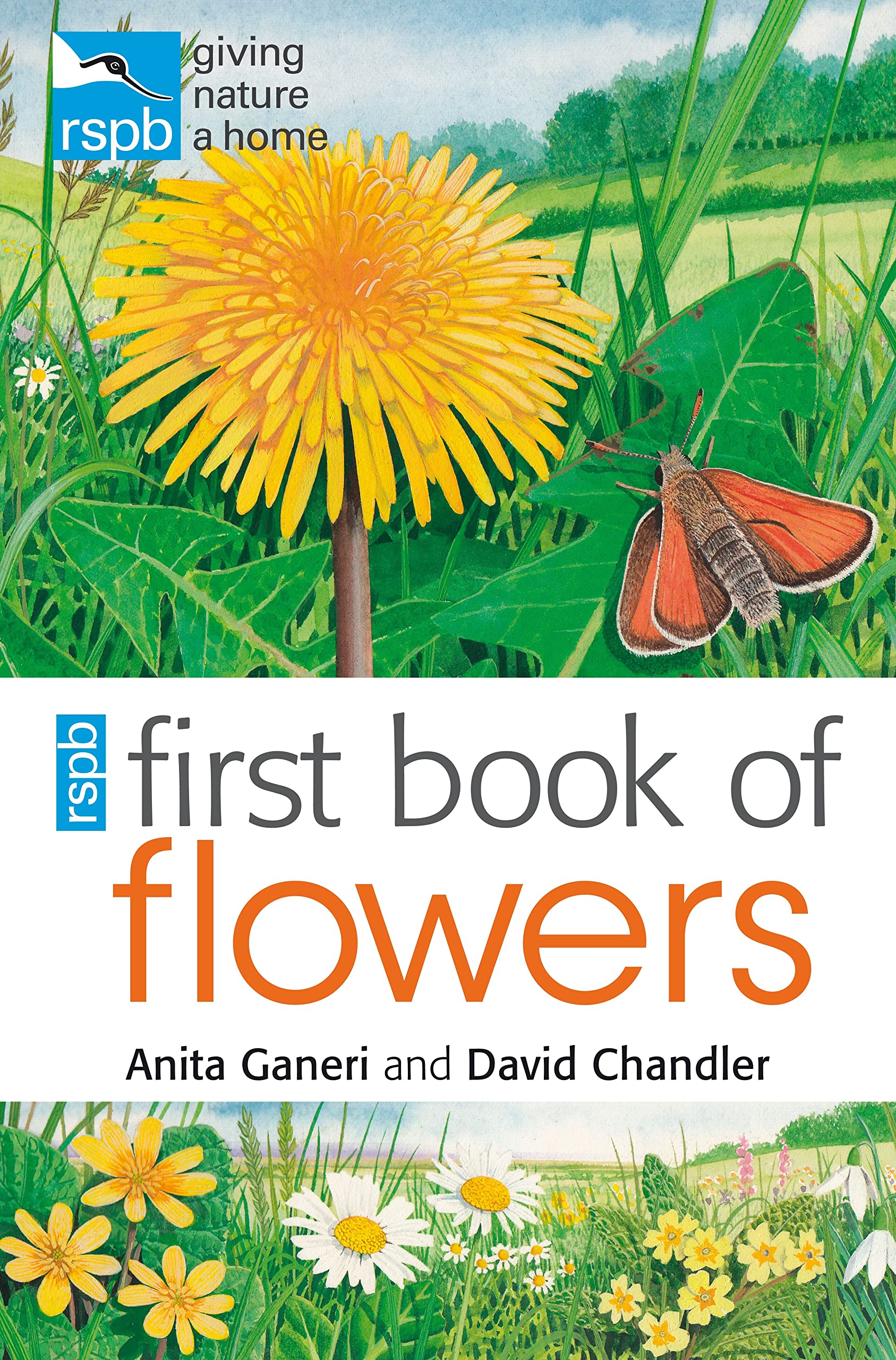 RSPB First Book of Flowers Non-fiction